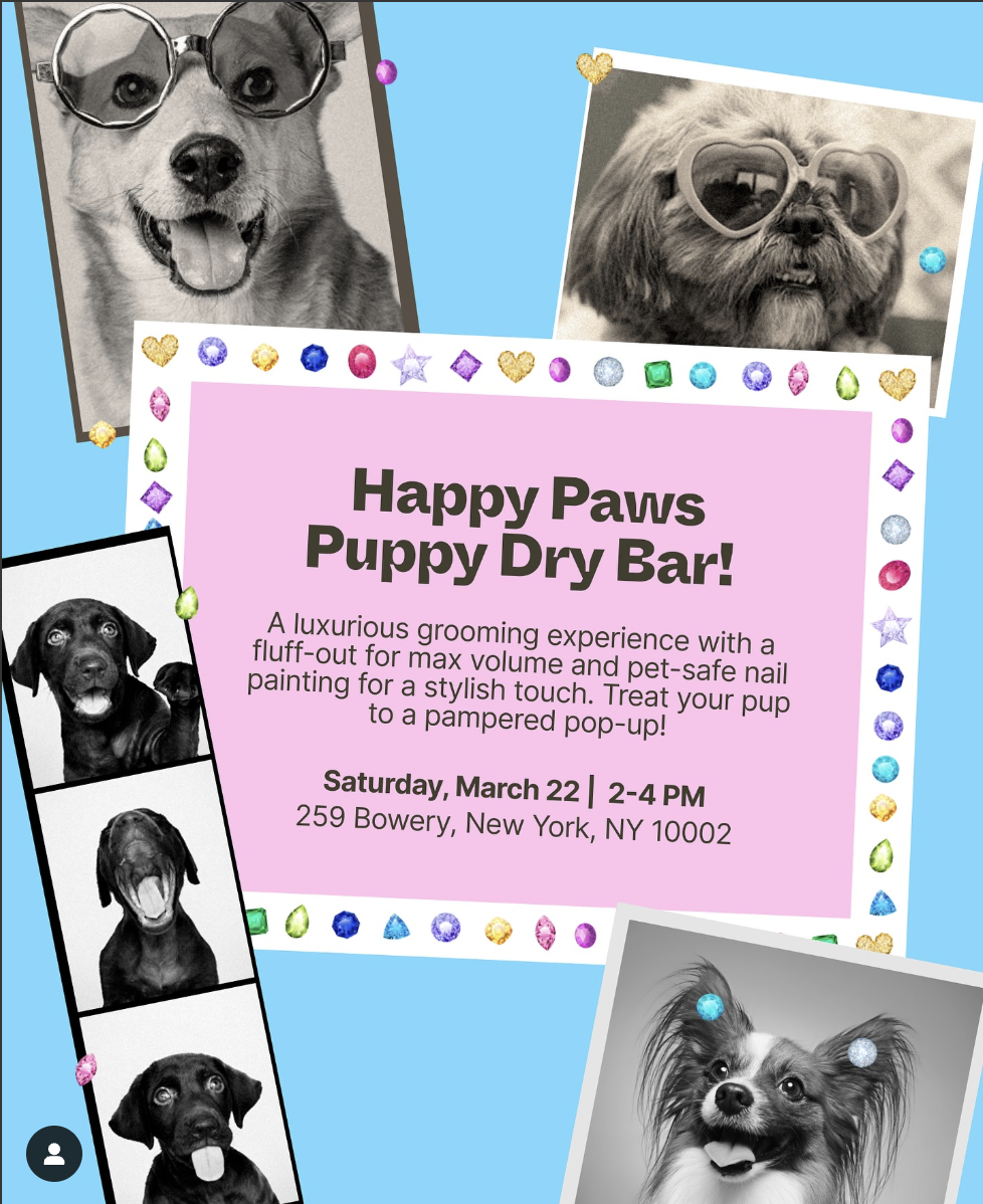 Happy Paws Puppy Dry Bar!