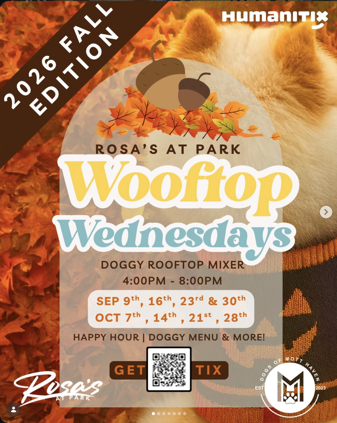 Wooftop Wednesday's Flyer