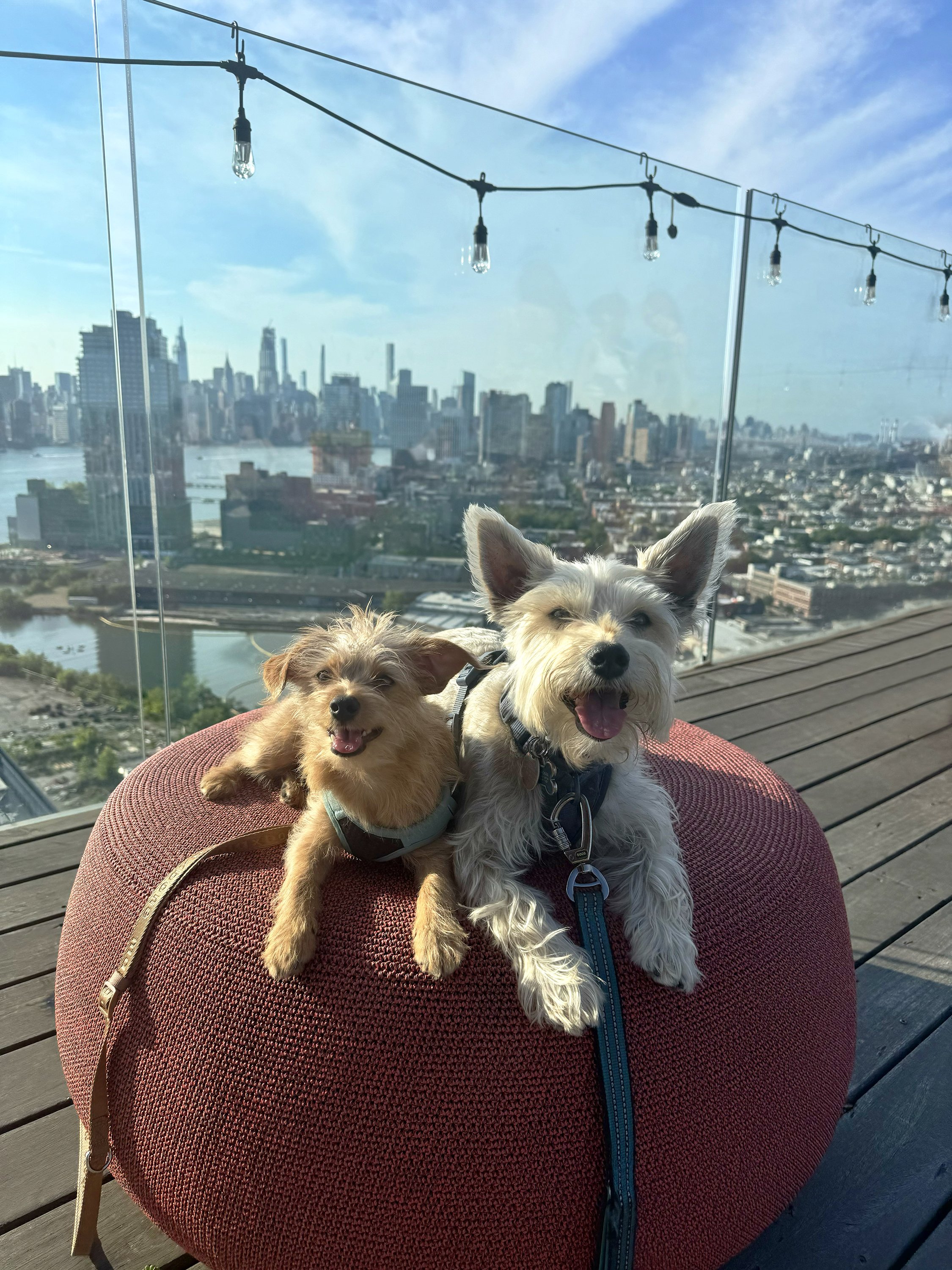 Benji and Randy sitting on a pouf with the city skyline behind them.