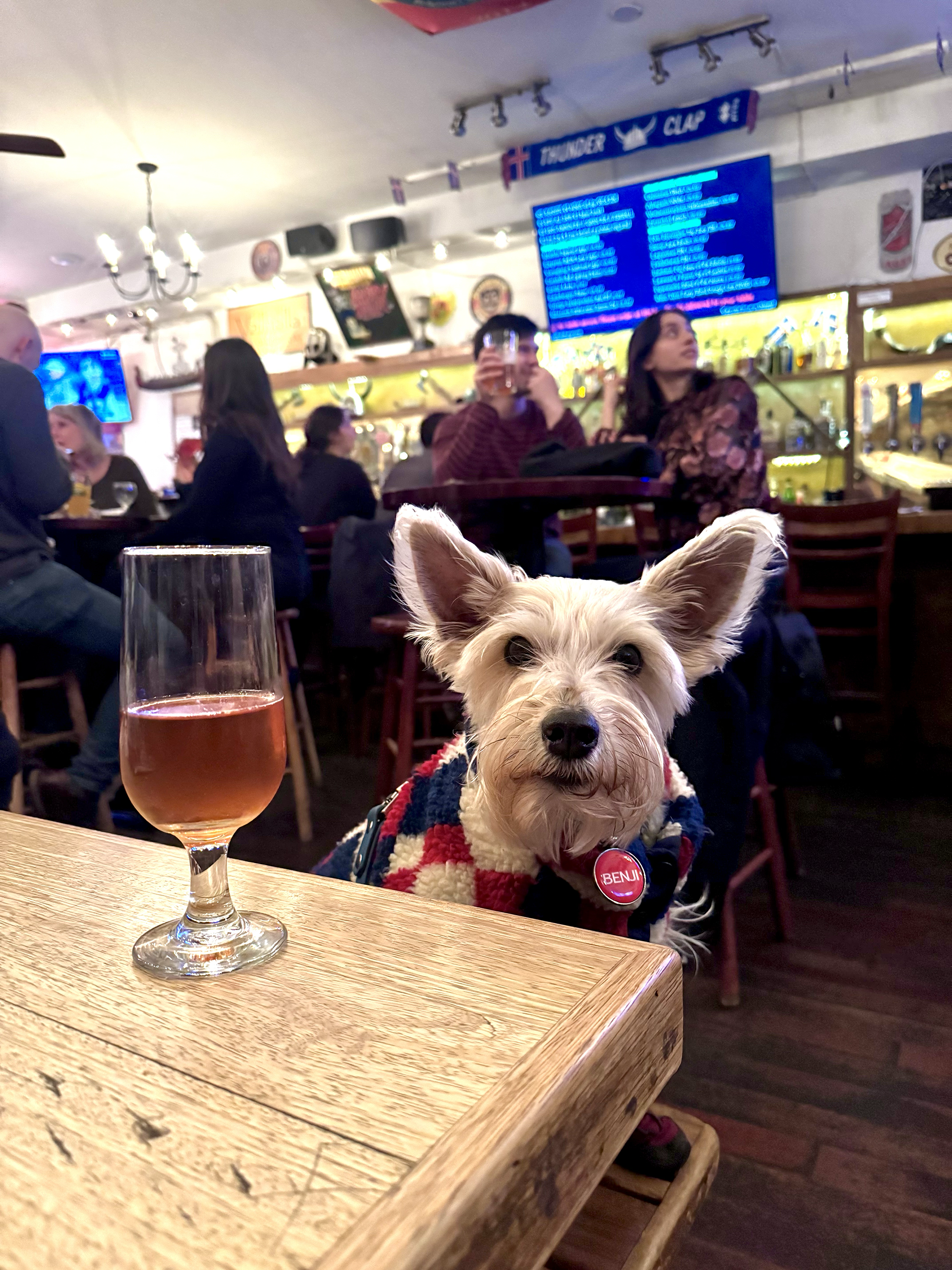 Benji sitting at the table with a beer in front of him.