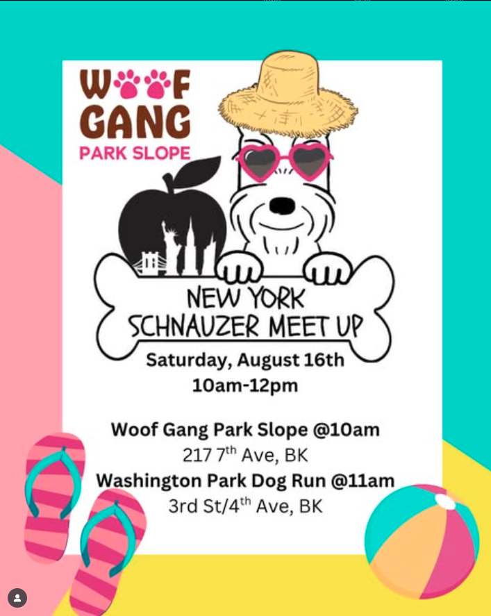 New York Schnauzer Meetup