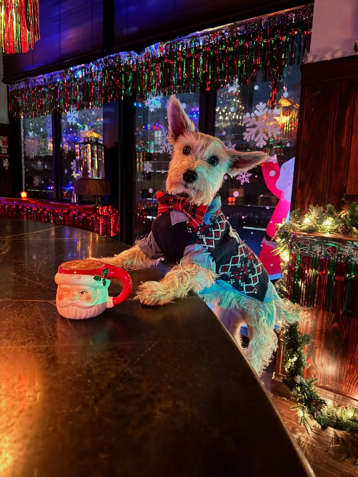 Vacations Brooklyn is turning into Miracle at Vacations and it will be officially open to everyone tomorrow!! With two floors of holiday decor including their awesome rooftop bar, which will be open every weekend for holiday cheer, come enjoy @vacati