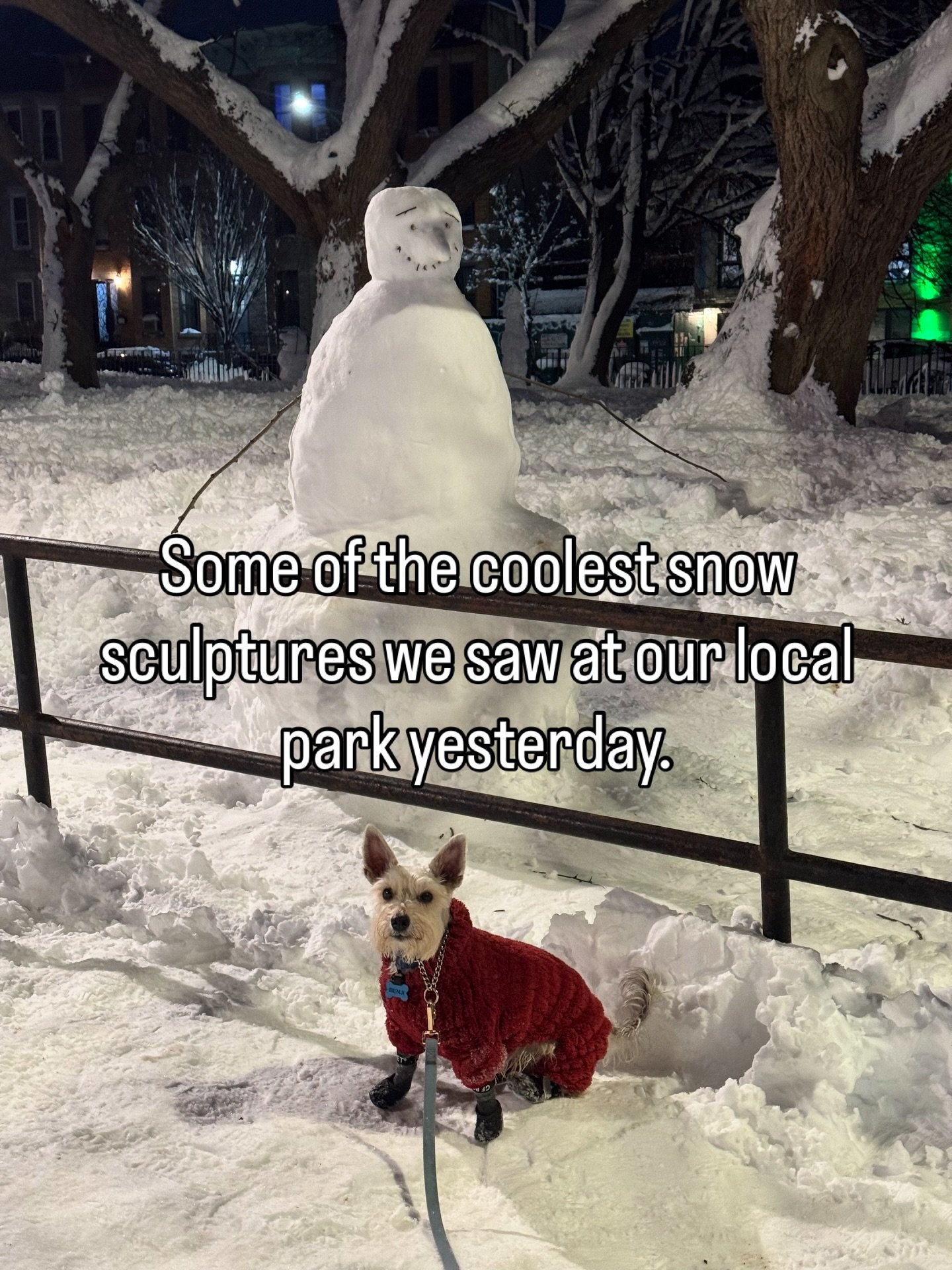 Yesterday was such a fun snow day and my favorite part was walking around our local park at night and seeing all of the amazing snow sculptures! Of course we loved the snow family that we shared in a video yesterday but these are some of the other co