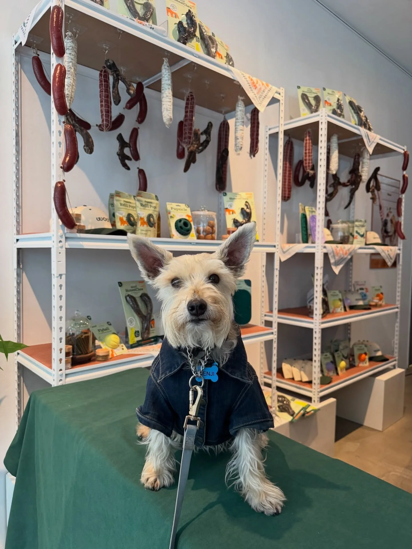 If you&rsquo;re free today before 3pm you have to check out the Woof Meat &amp; Provisions Pop Up in the West Village! 

📍Ideal Glass Studios, 9 W 8th St, New York, NY

Get one of their brand new Meaty Honest Chew, delicious and safe for your chewer