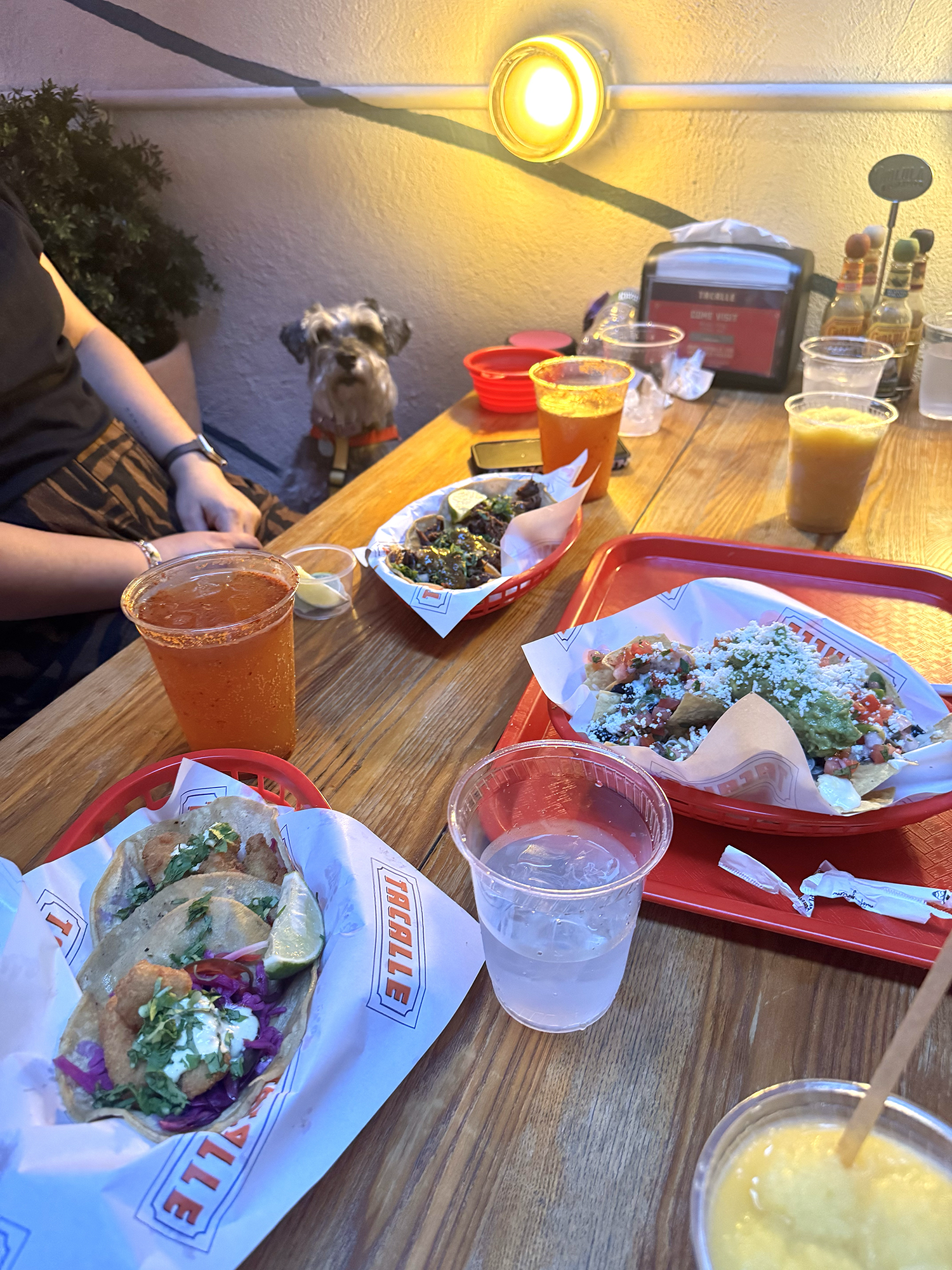  Matilda sitting at the table with red trays of mexican food in front of her. 