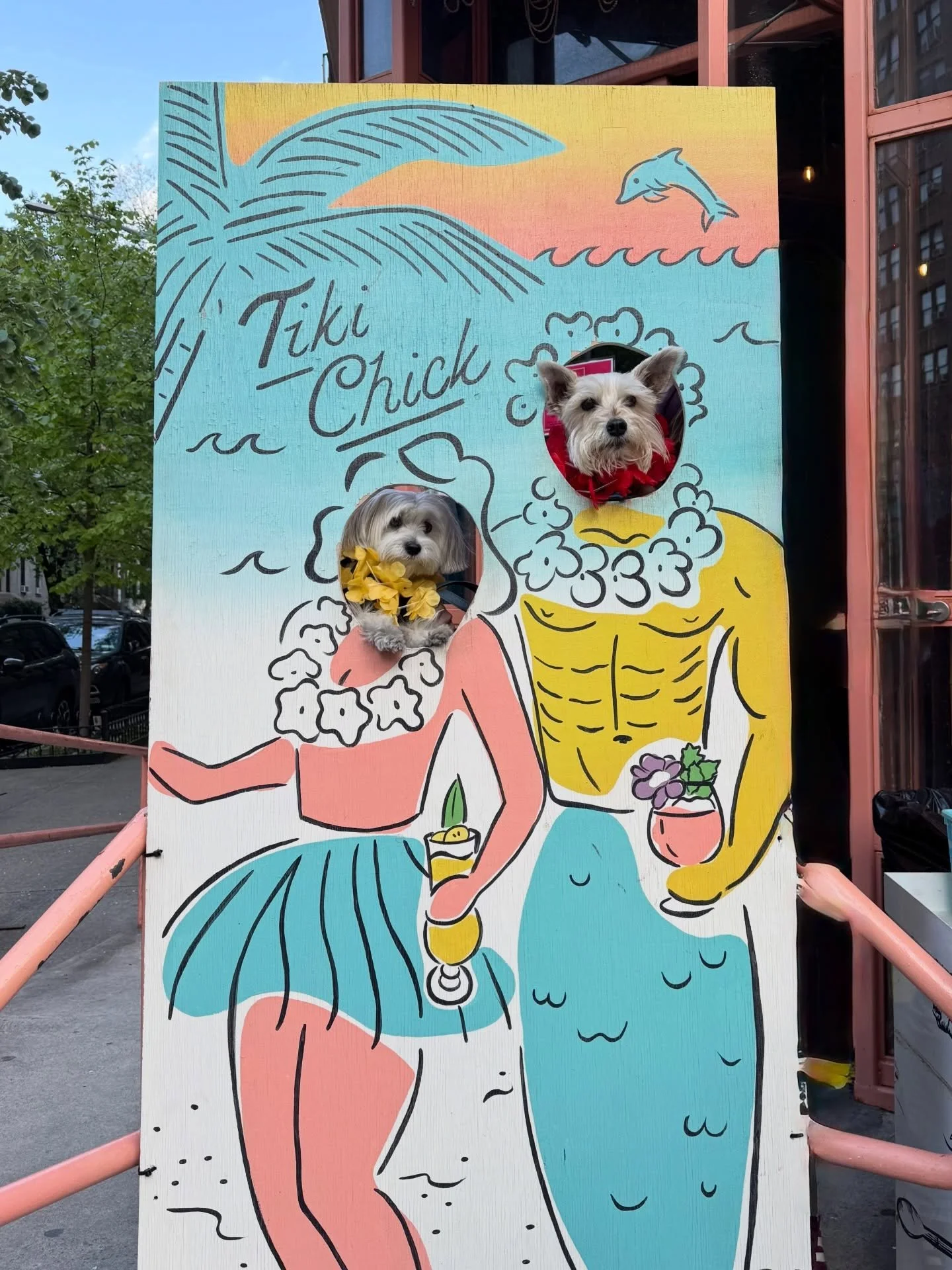 Need a great dog friendly spot to feel a little tropical in NYC? Check out Tiki Chick on the UWS! We visited with our fav UWS friend, @rockynycmorkie ! @tikichickworld has a large covered outdoor seating area with heaters overhead if it&rsquo;s a chi