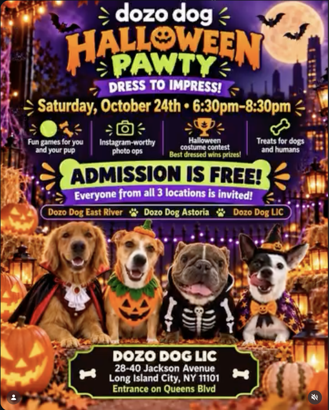 Dozo Dog LIC Halloween Pawty