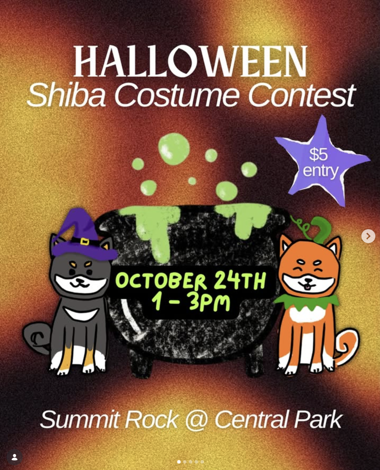 Halloween Shiba Costume Contest Flyet