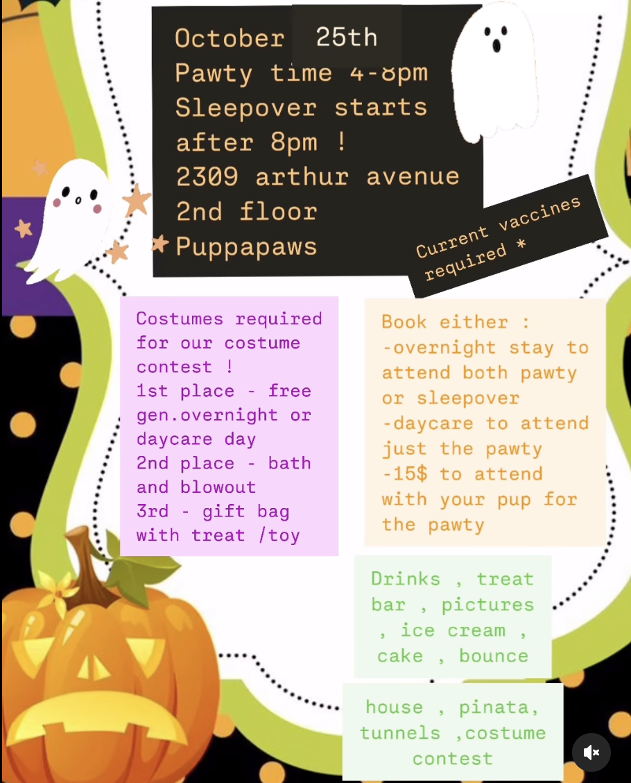 Puppa Paws Sleepover Flyer