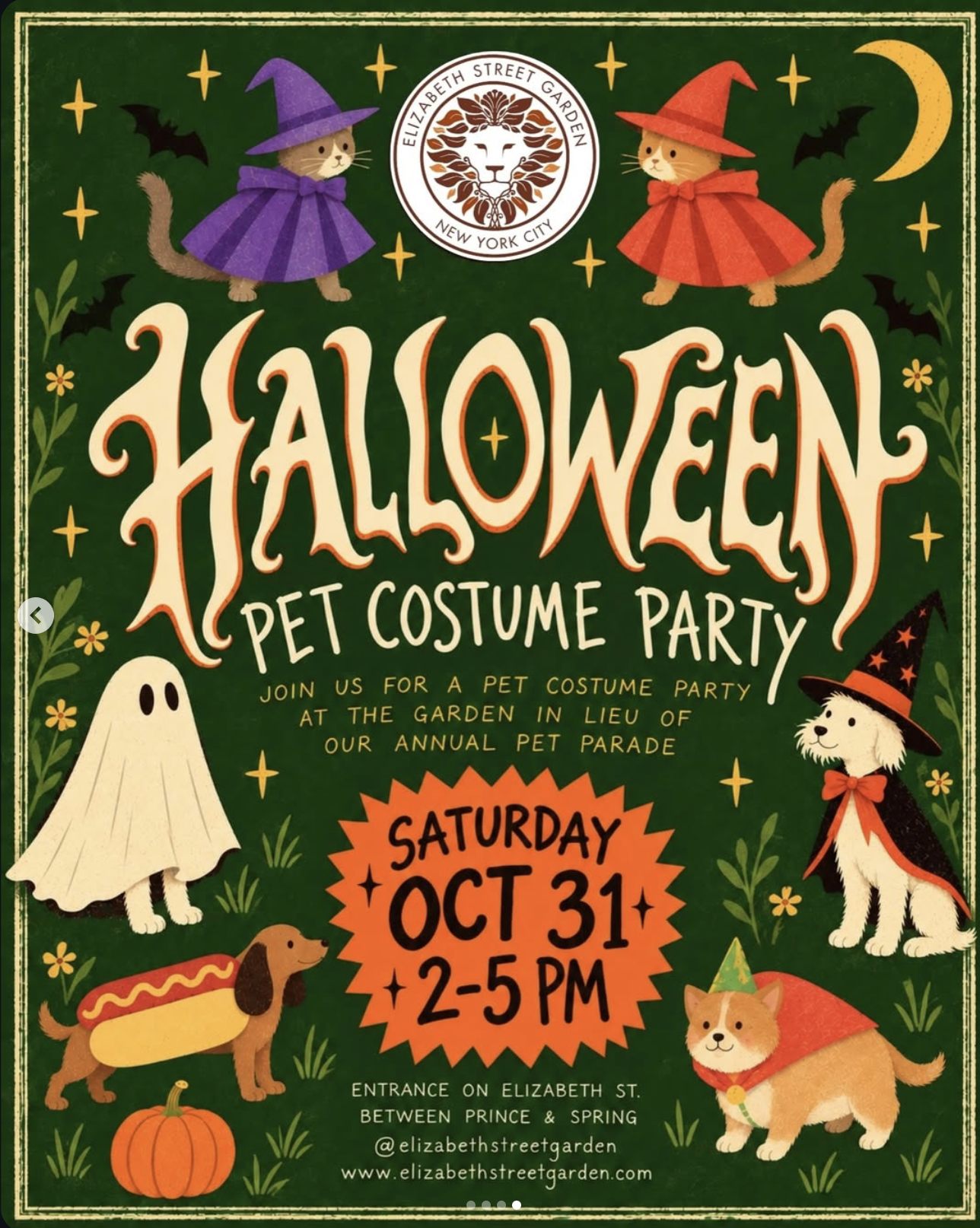Halloween Pet Costume Party Flyer