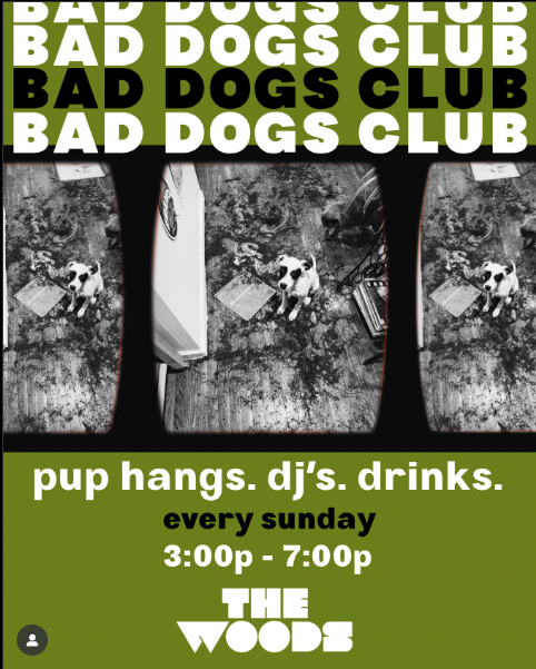 Bad Dogs Club at The Woods