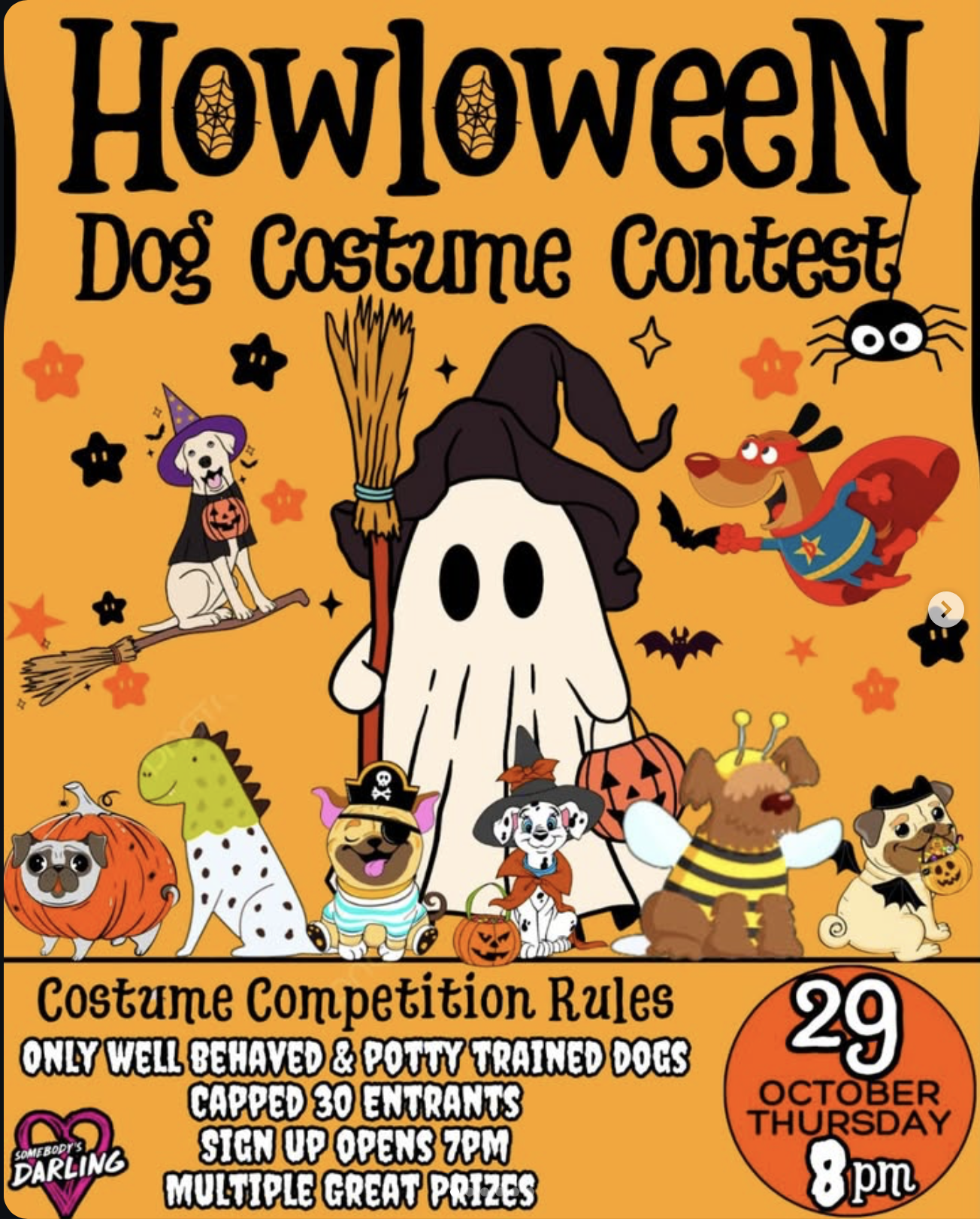 Somebody's Darling Howloween Dog Costume Contest