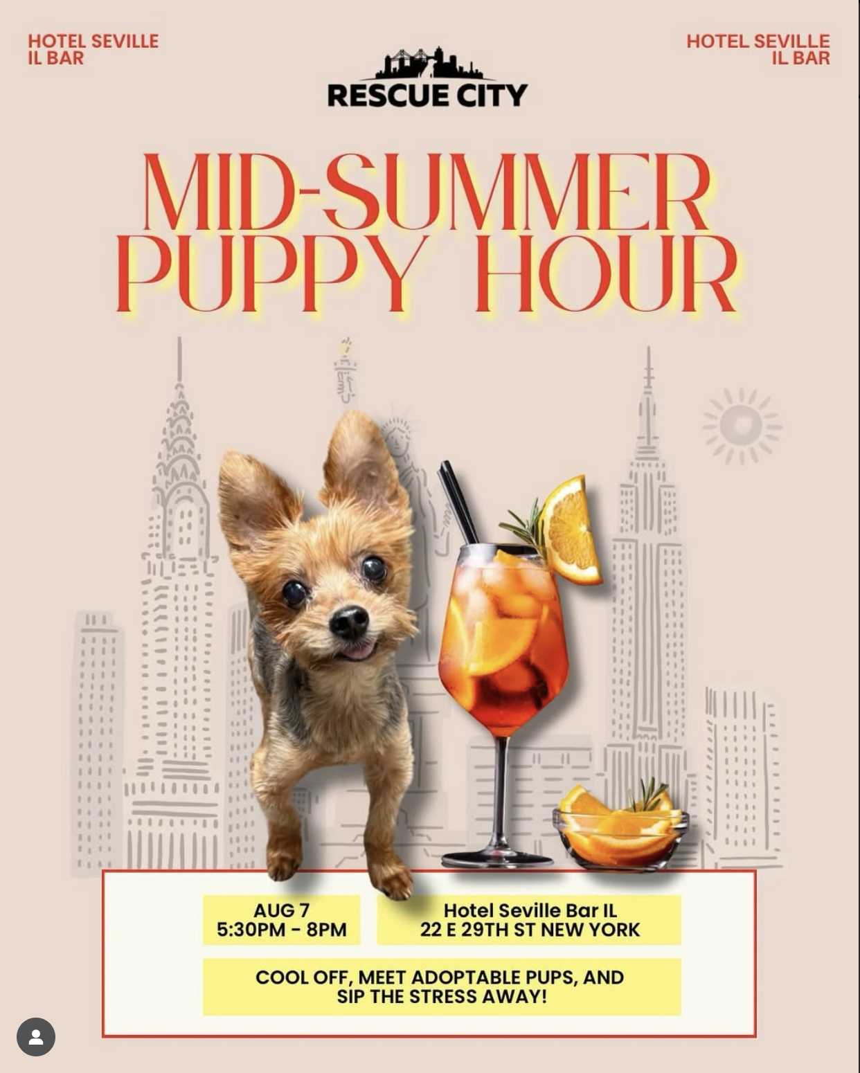 Mid-Summer Puppy Hour