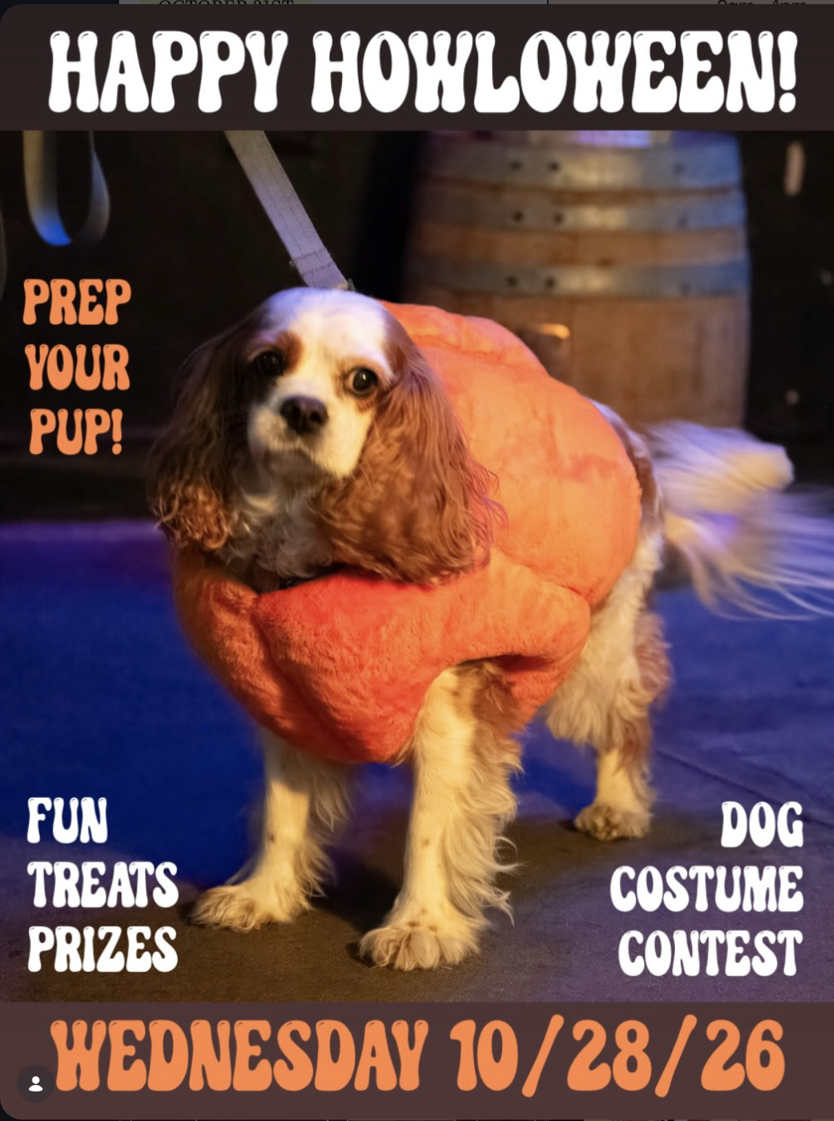 Happy Howloween Costume Contest Flyer