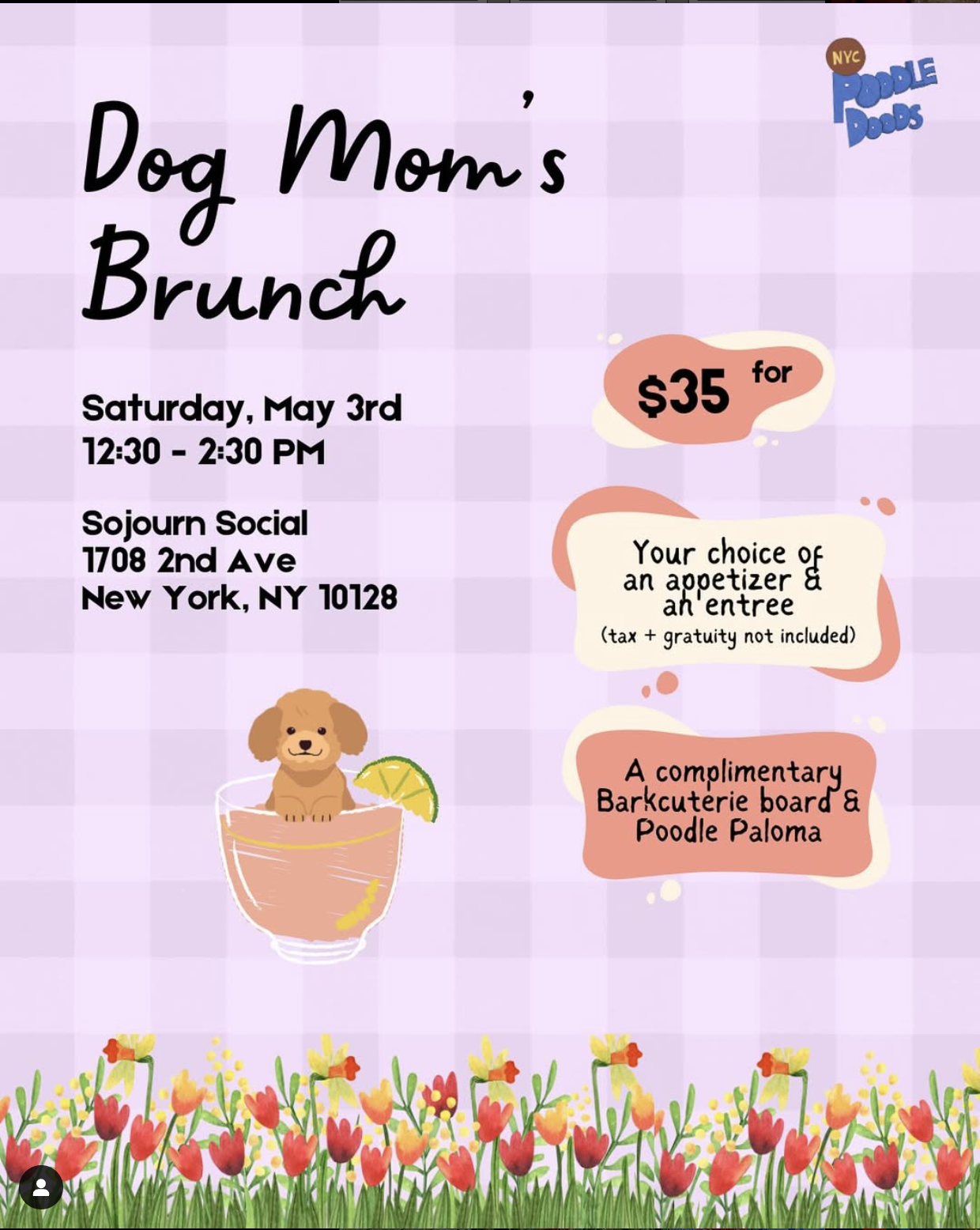 Dog Mom's Brunch