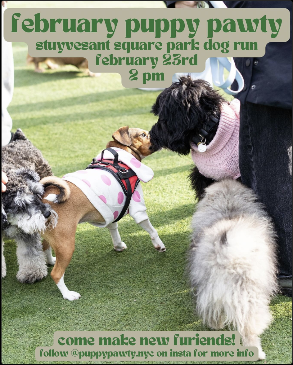 Puppy Pawty