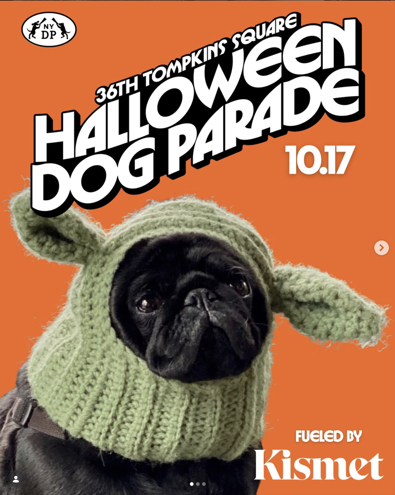 36th Tompkins Square Halloween Dog Parade