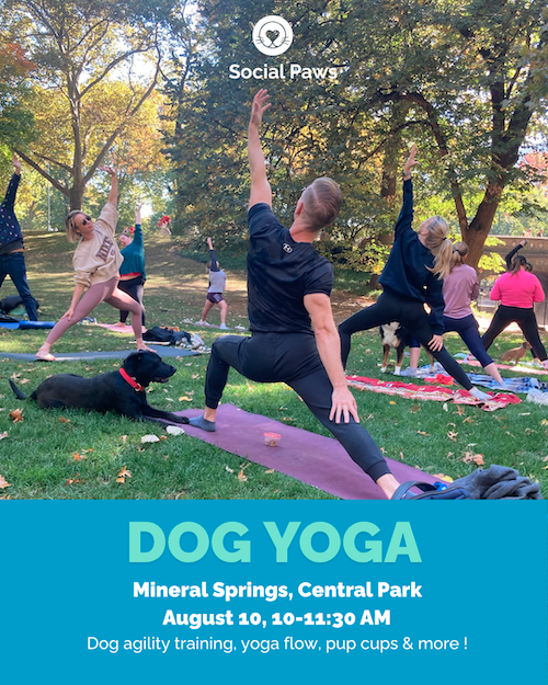 Central Park Dog Yoga