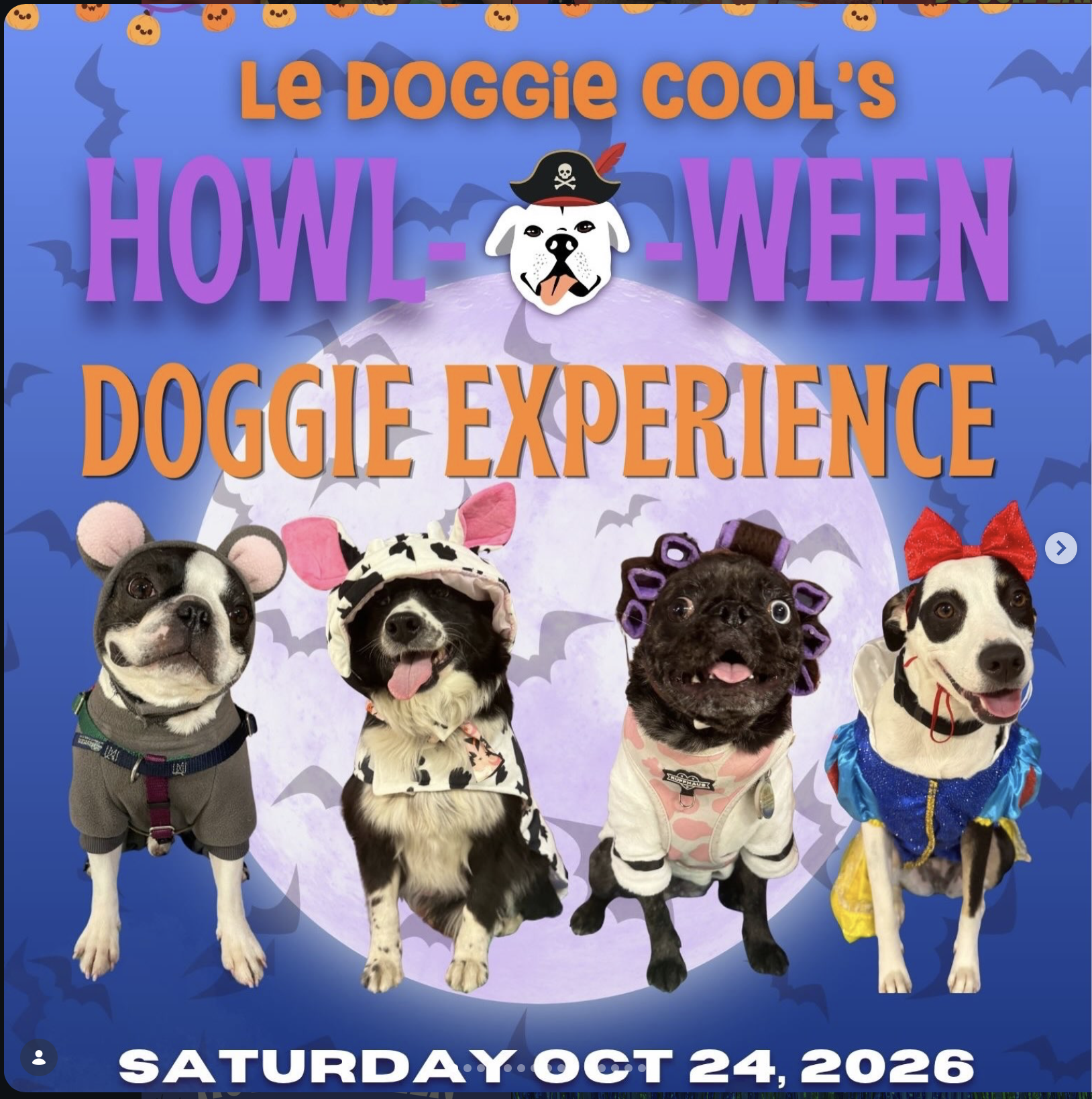 Howl-O-Ween Doggie Experience Flyer