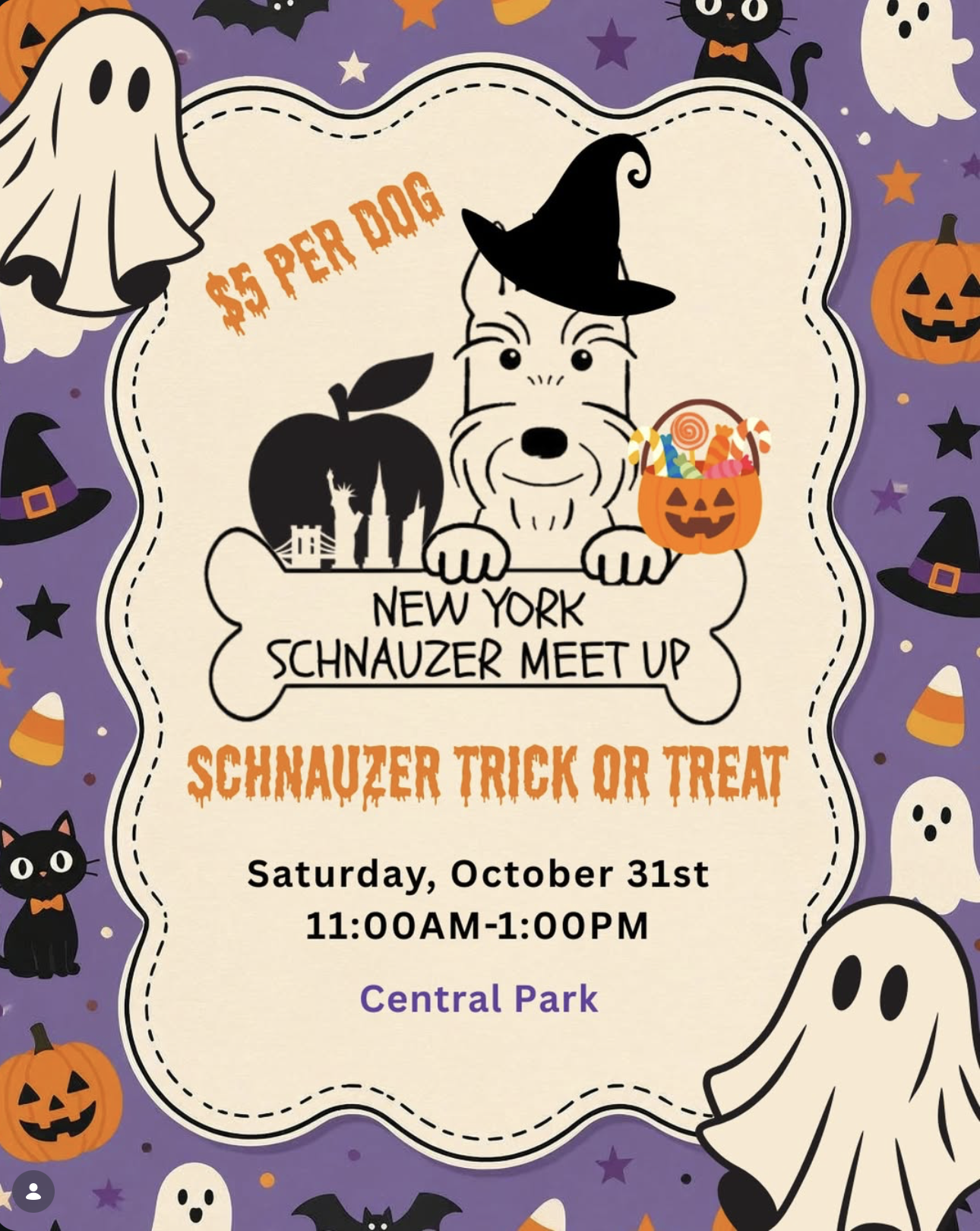NYC Schnauzers Trick or Treat Flyer