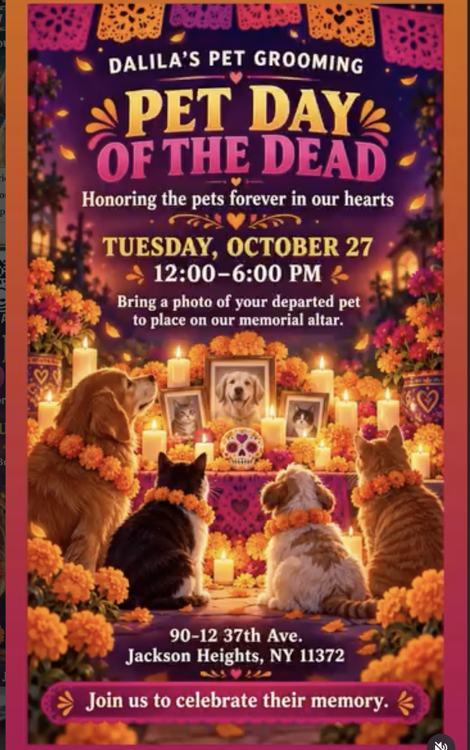 Pet Day of The Dead Flyer