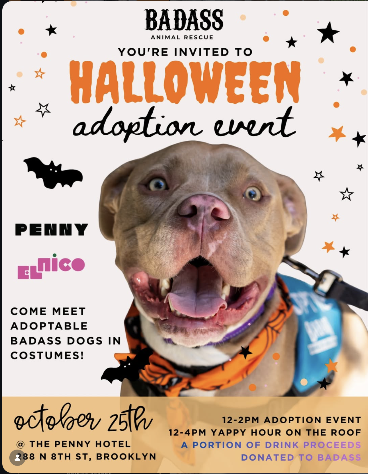 Halloween Adoption Event Flyer