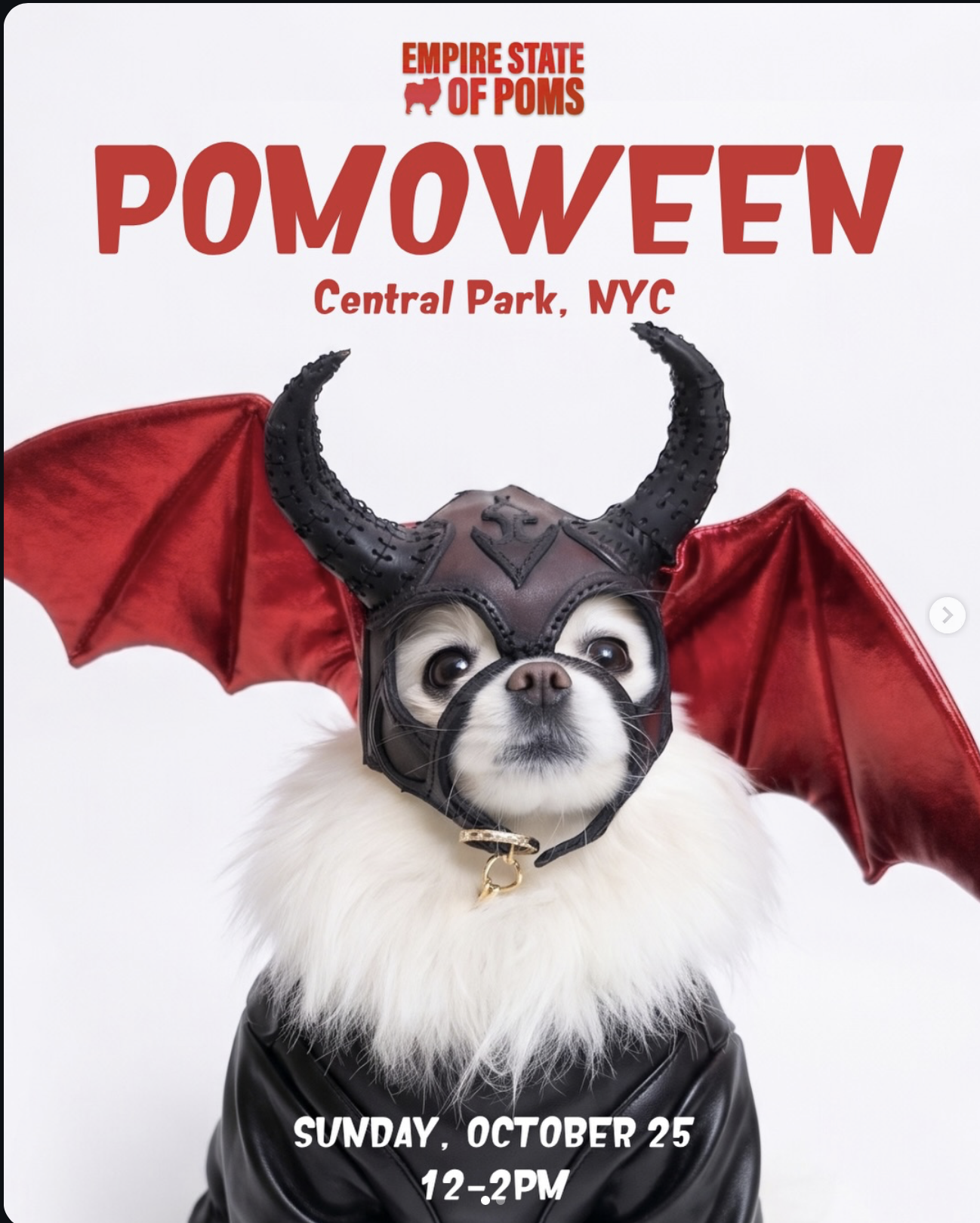 Pomoween Flyer