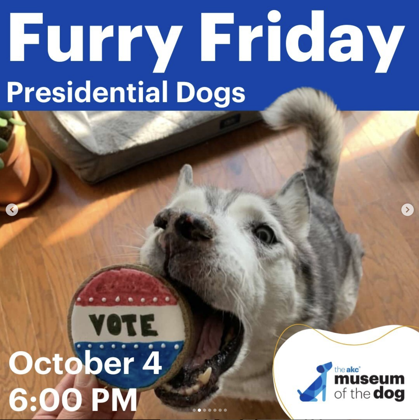 Furry Friday Presidential Dogs Flyer