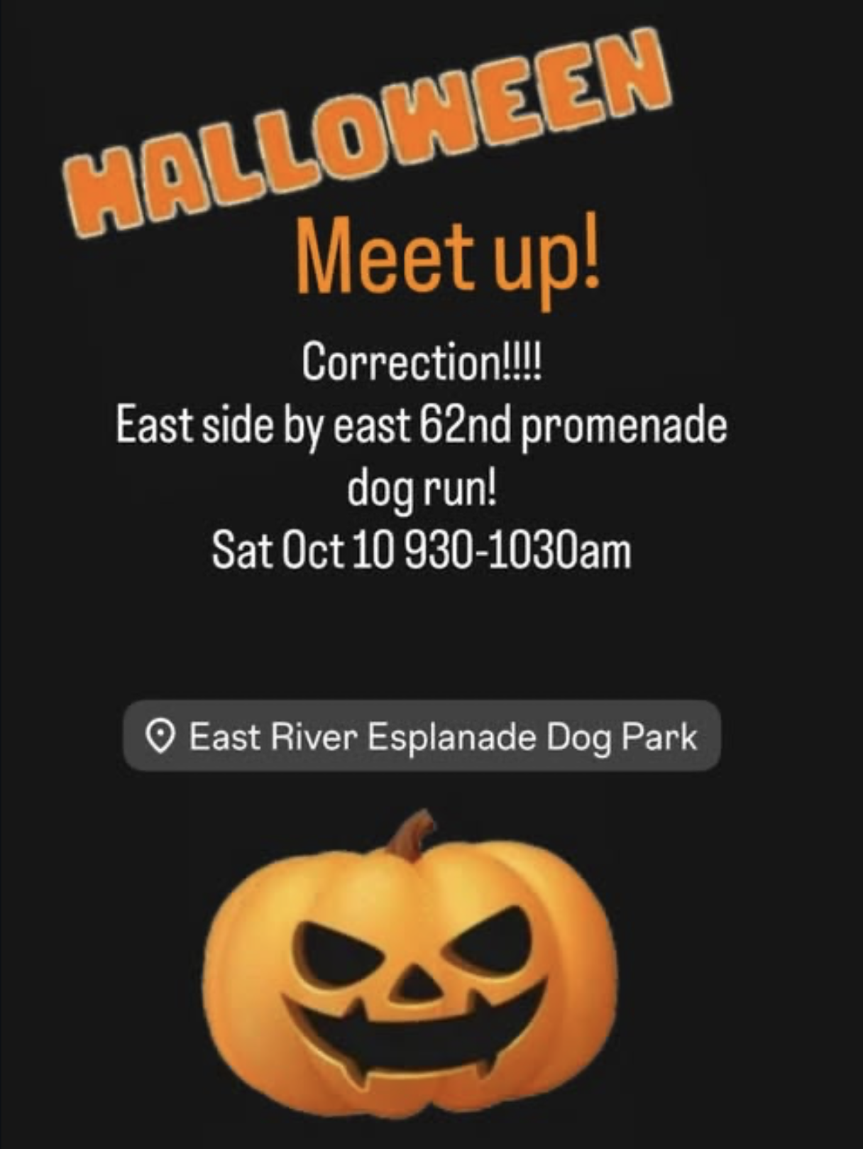 NYC Samoyed Halloween Meetup Flyer