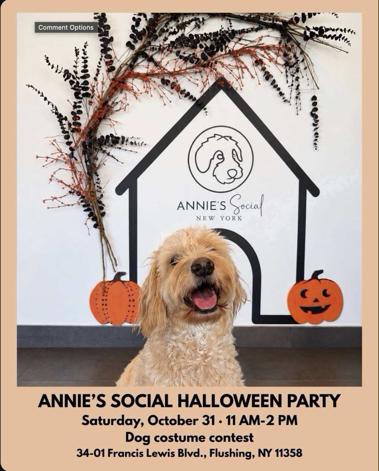 Annie's Social Halloween Party Flyer