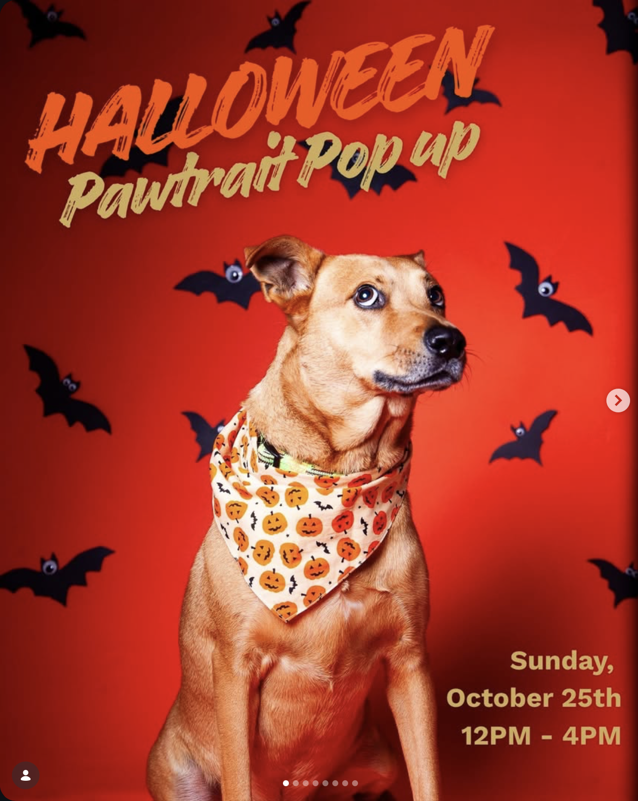 Halloween Pawtrait Pop Up Flyer