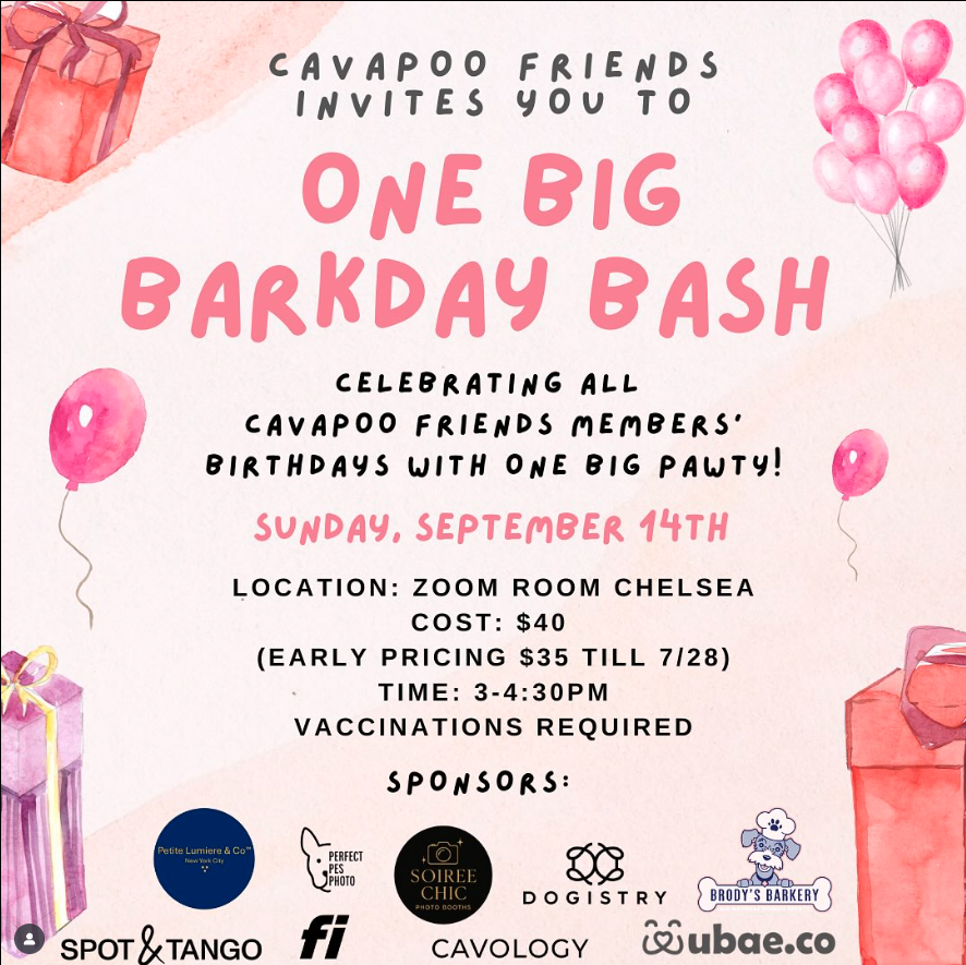 Cavapoo Friends One Big Barkday Bash