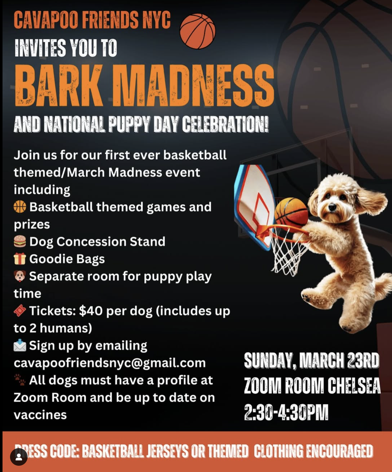 Cavapoo Friends Bark Madness