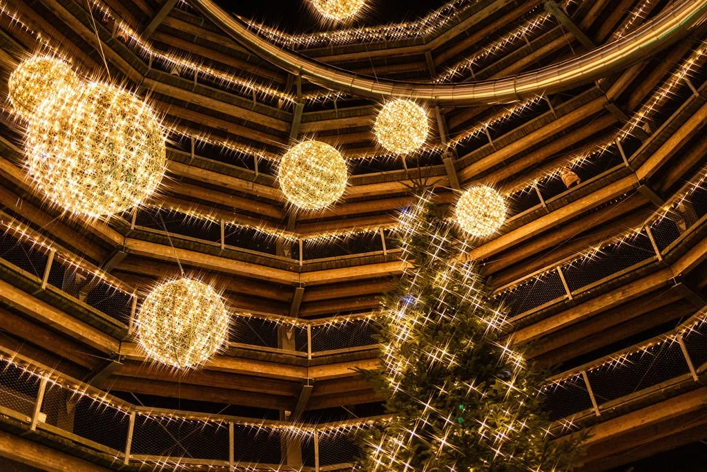 Collectiv_Disney+Avondale_172.jpg