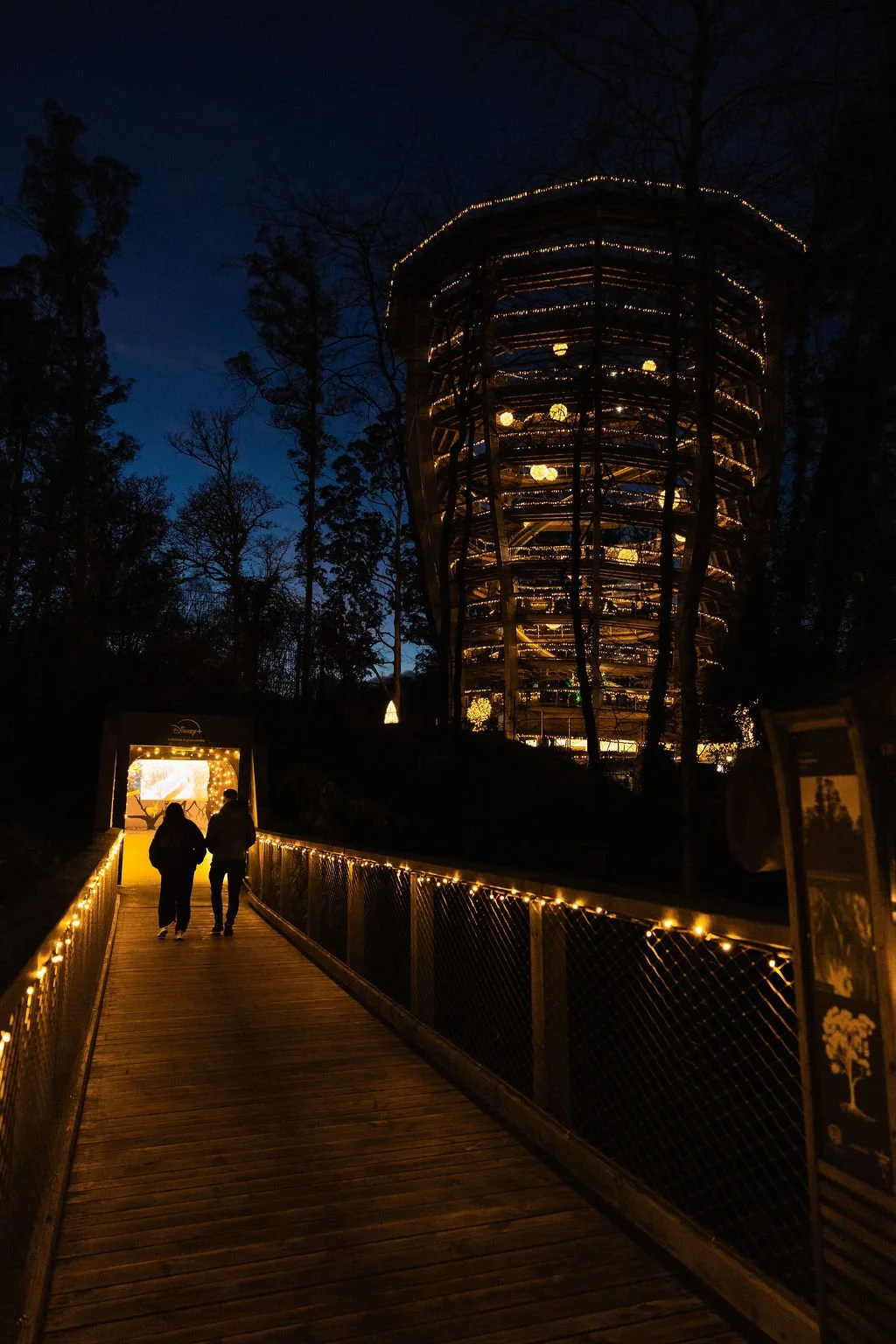 Collectiv_Disney+Avondale_147.jpg