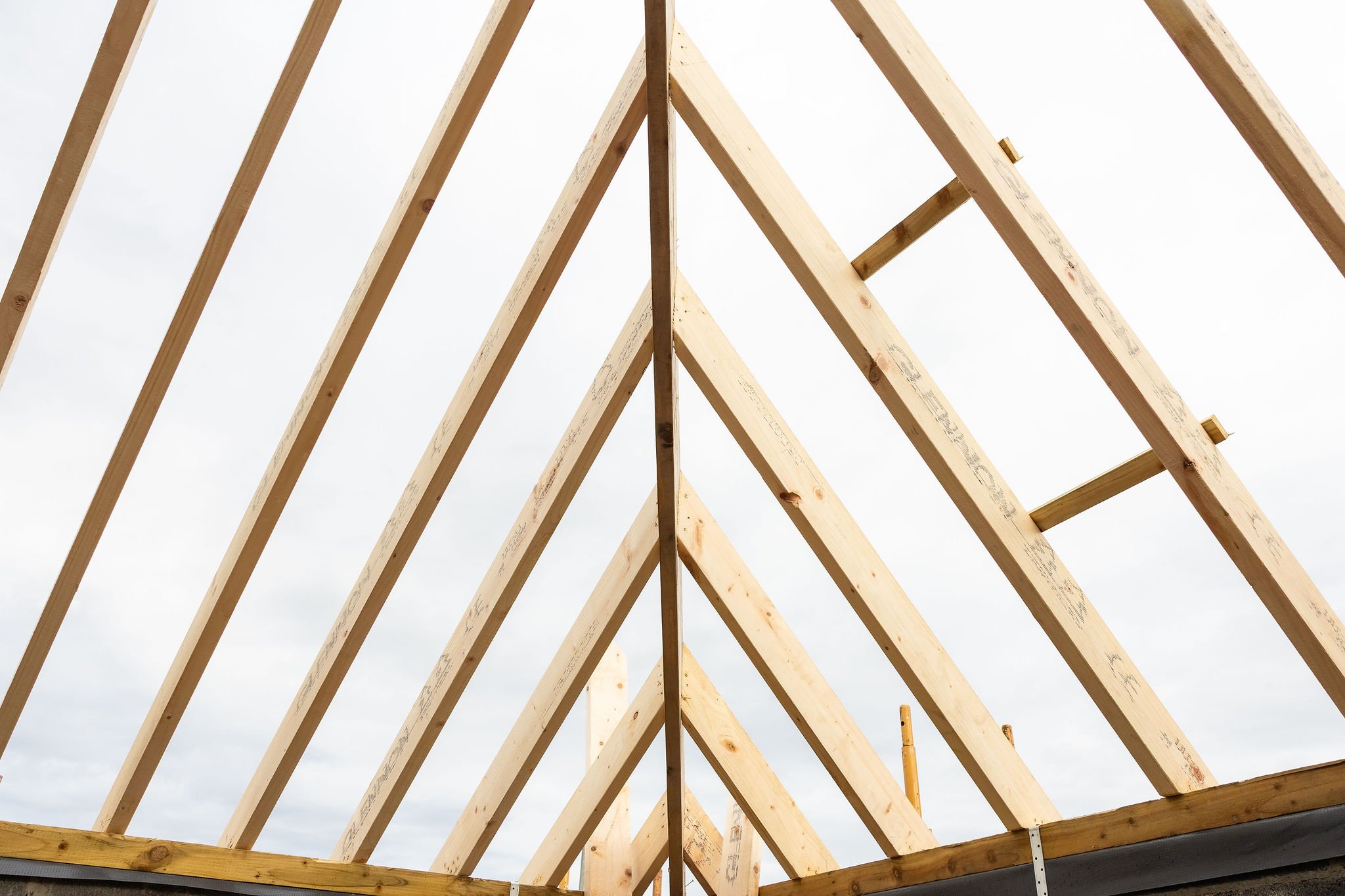 Renova_SiteVisit_earlystage_14.jpg