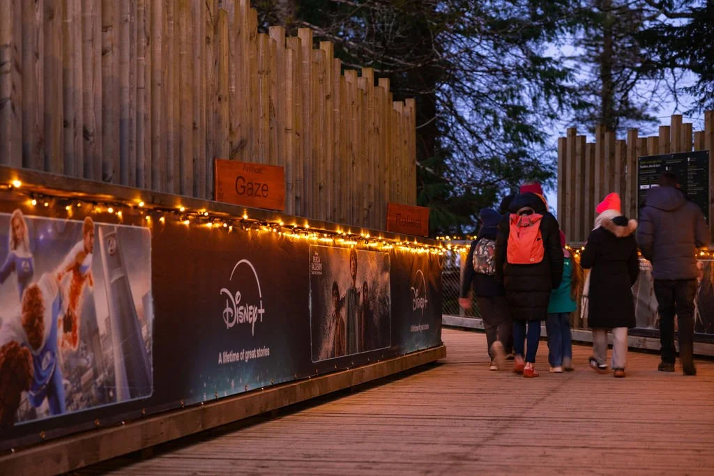 Collectiv_Disney+Avondale_132.jpg