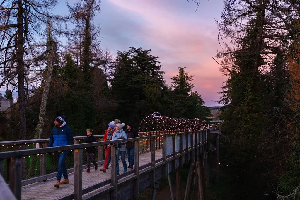 Collectiv_Disney+Avondale_114.jpg