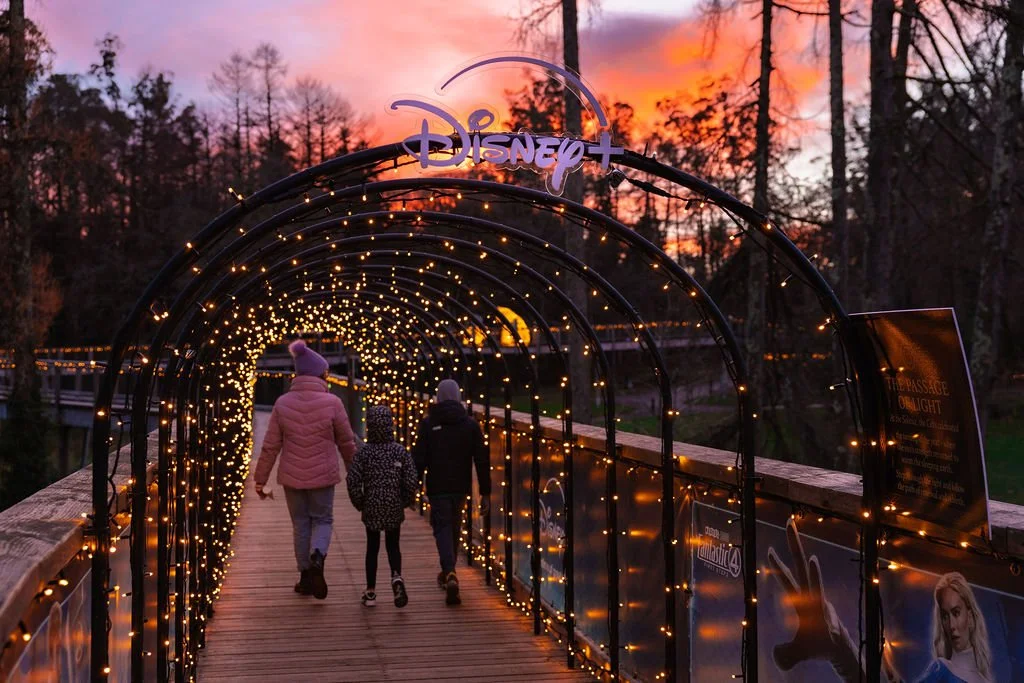 Collectiv_Disney+Avondale_120.jpg