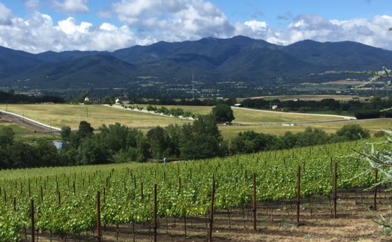Peter William Vineyard - Fabulous Flights Event Friday Sep 4 (Labor Day Weekend)