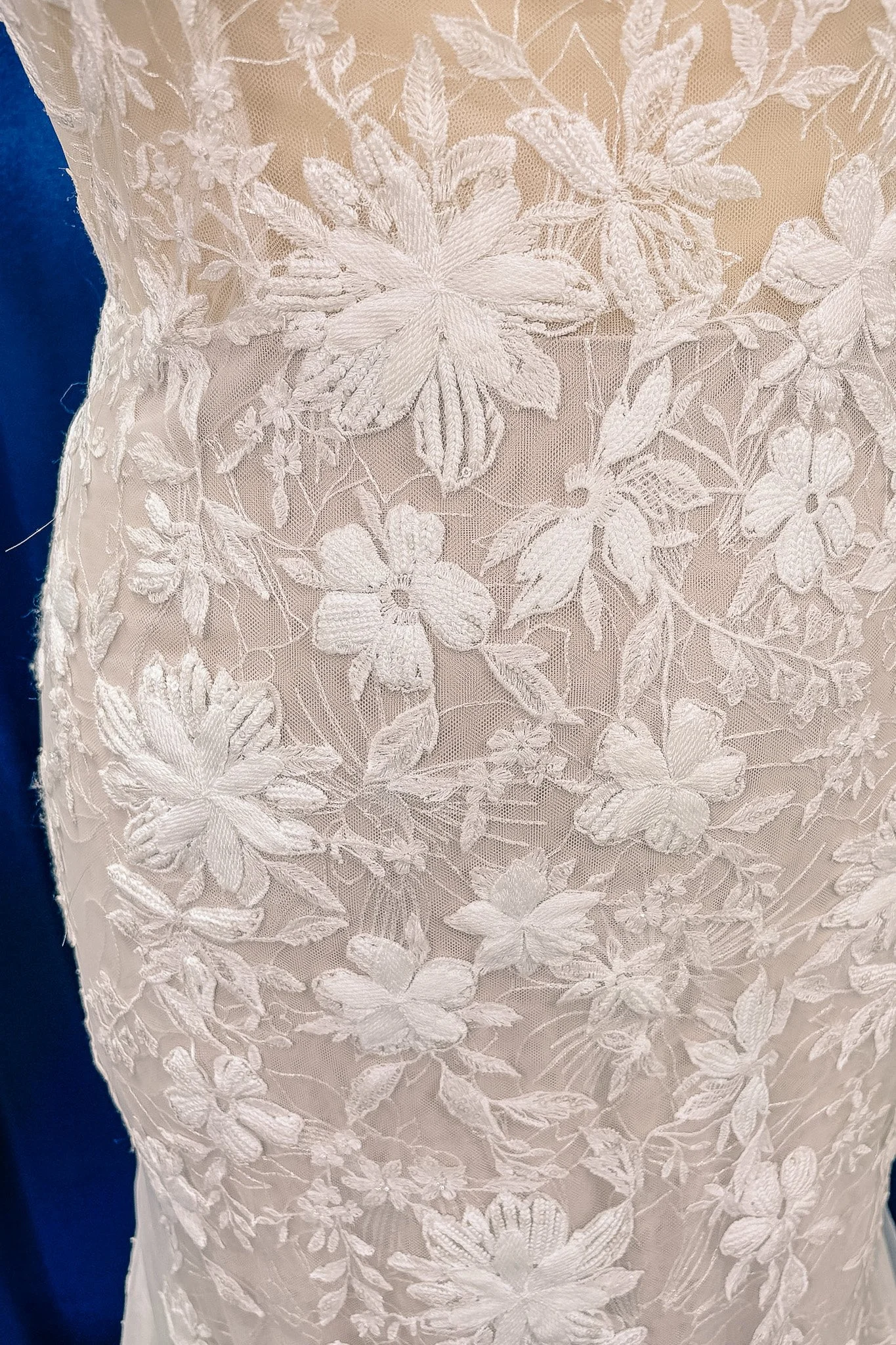 loganlace.jpg