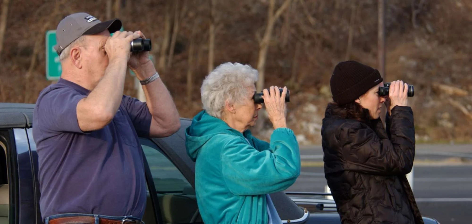 Bald Eagle Days at Pere Marquette