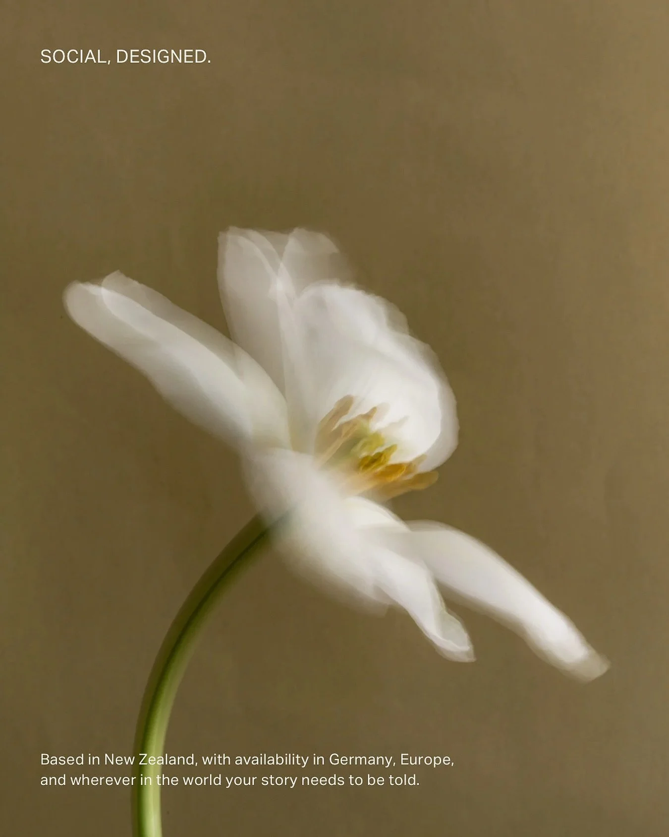 From here to everywhere. Our method travels. 

Our 2026 calendar includes an extended presence in Europe. Enquiries are open. Link in bio.