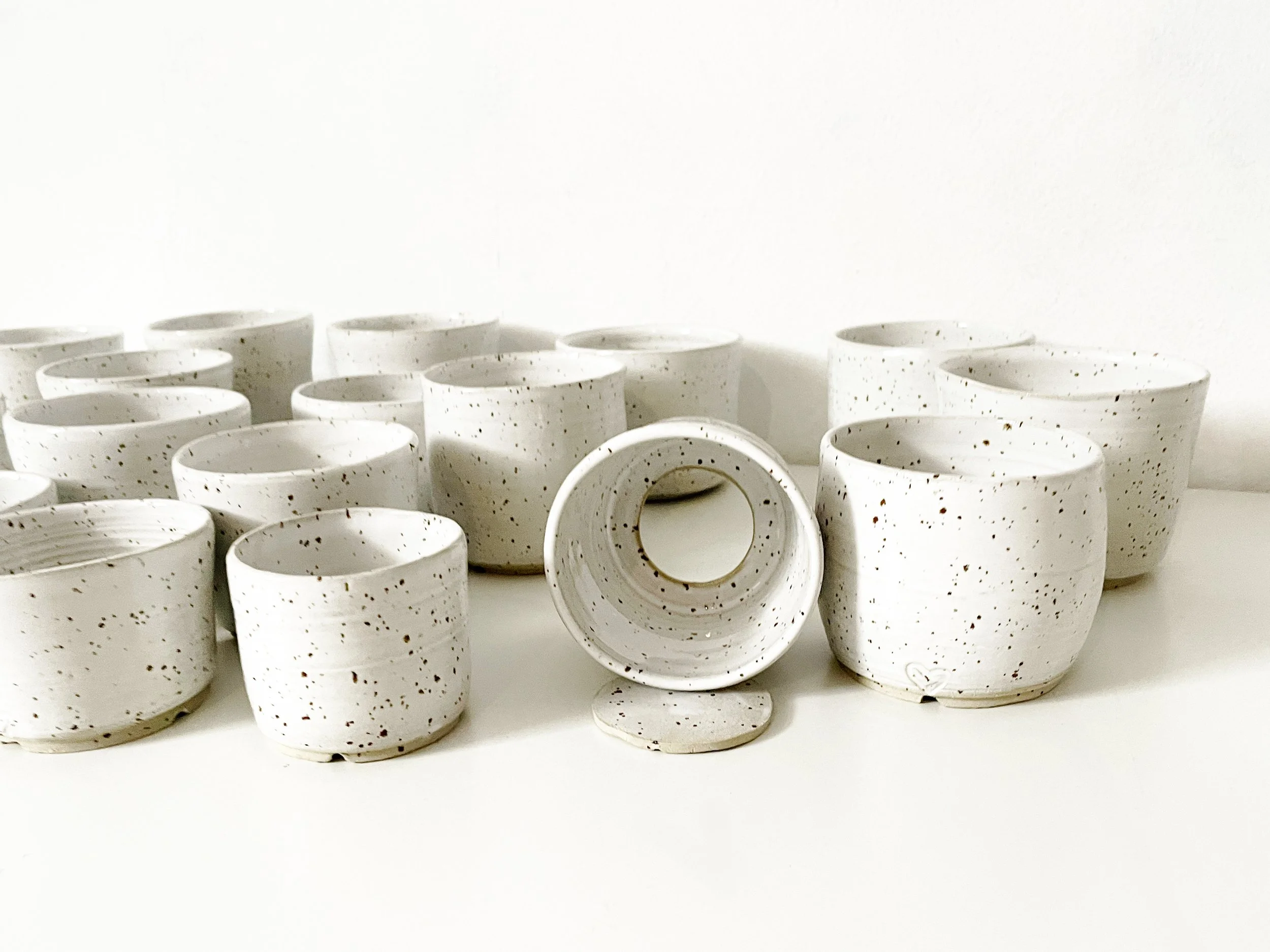 tinystudio_seedlingpot_familyopen.jpg
