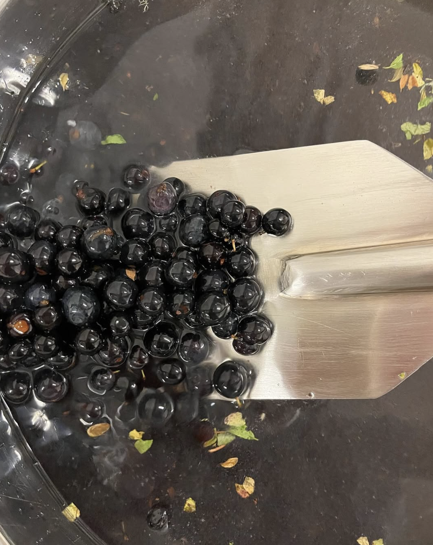 Screenshot 2026-02-08 at 16.44.54.png