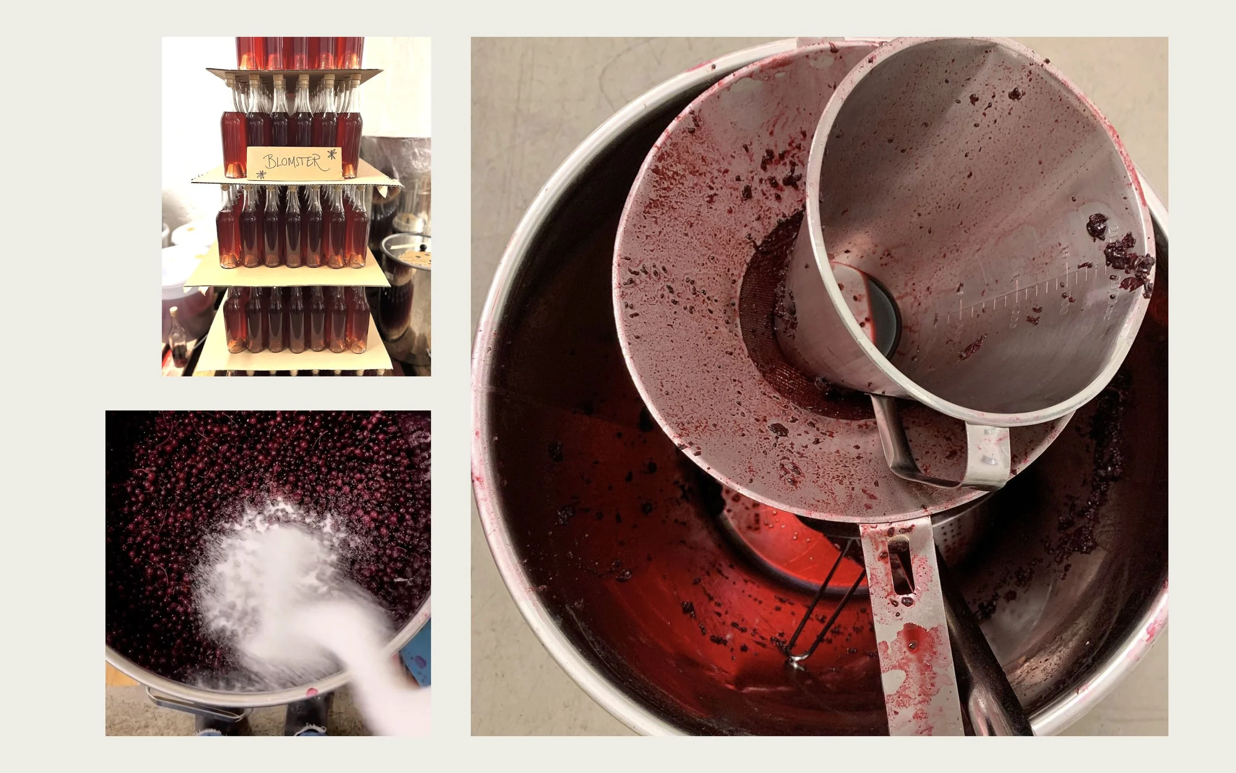 Elderberry, handmade craft cocktail bases, cordials, liquor and gin. Spriteriet. Charlotta Nyfeldt.