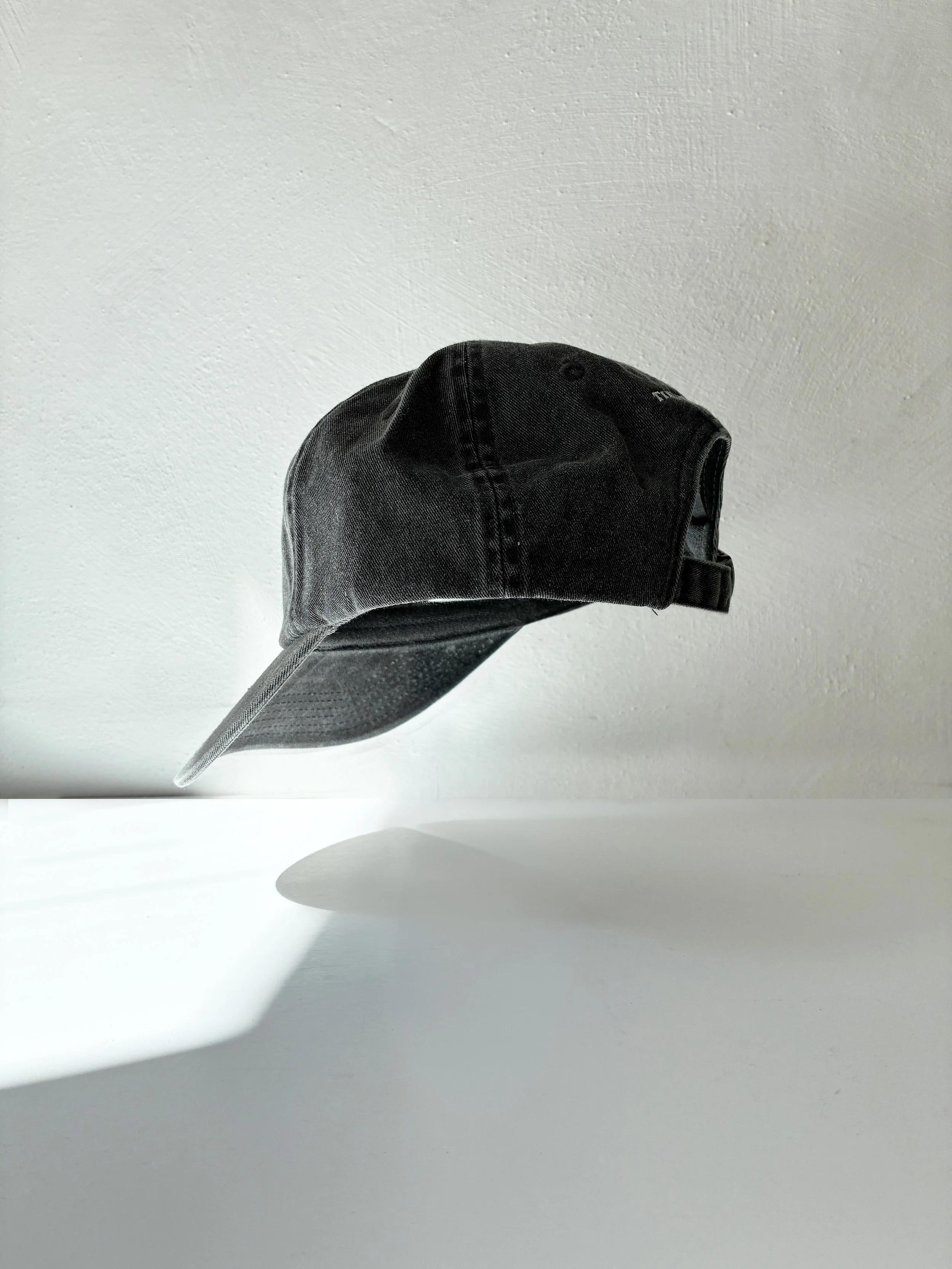 tinystudio_dadcap_art_side2.jpg