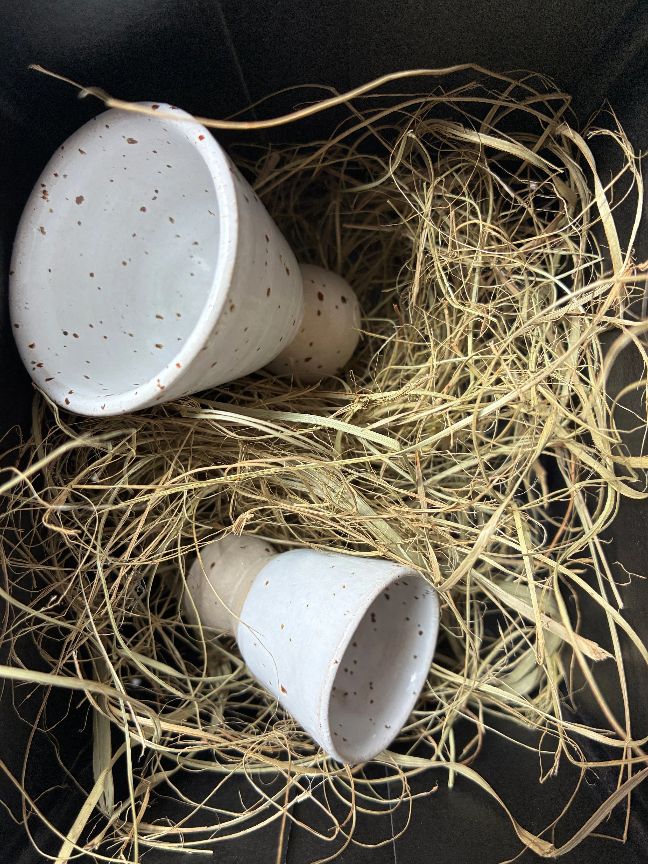 tinystudio_jigger_nest.jpg