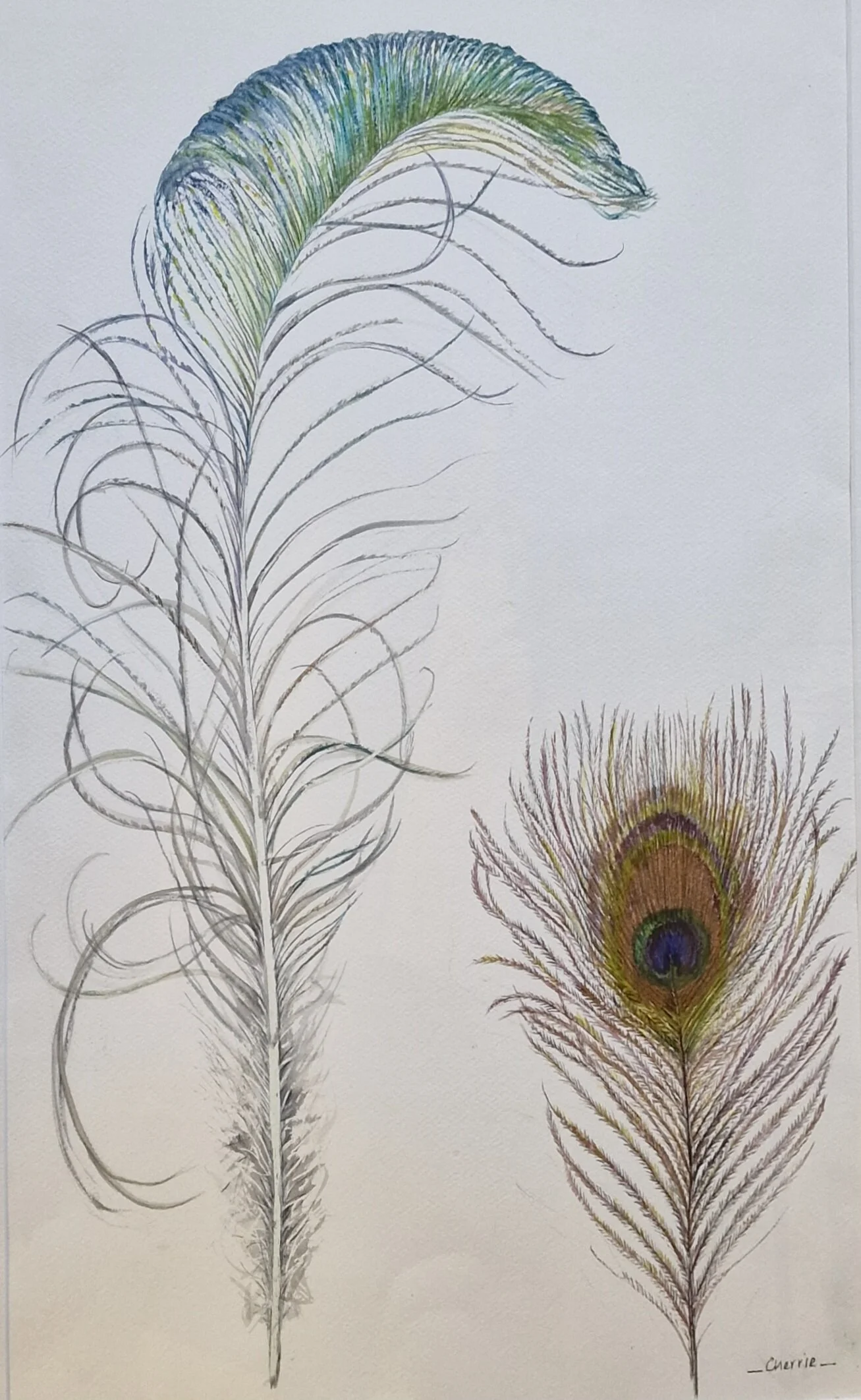 1000009228[24011].jpg