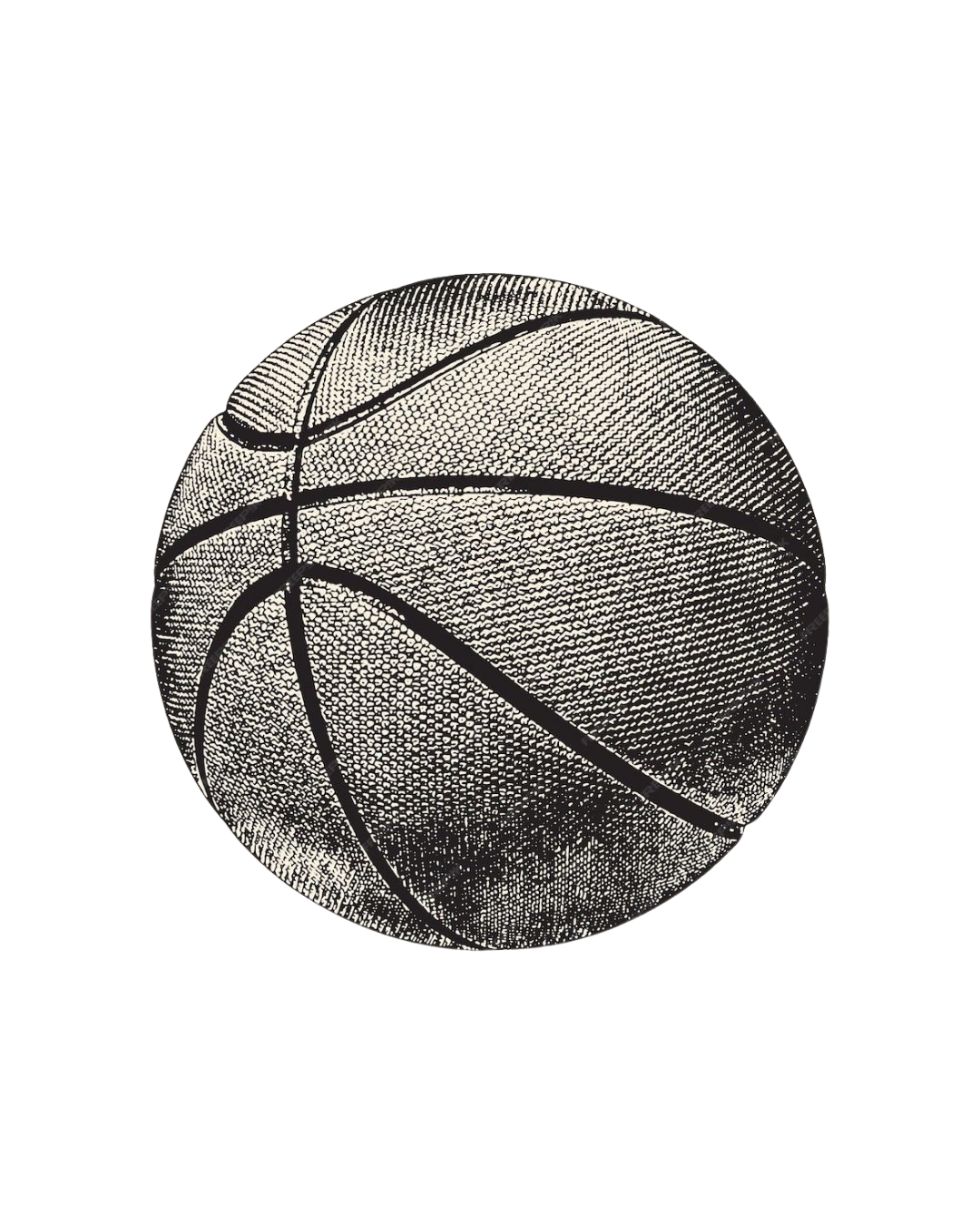 work in pro basketball